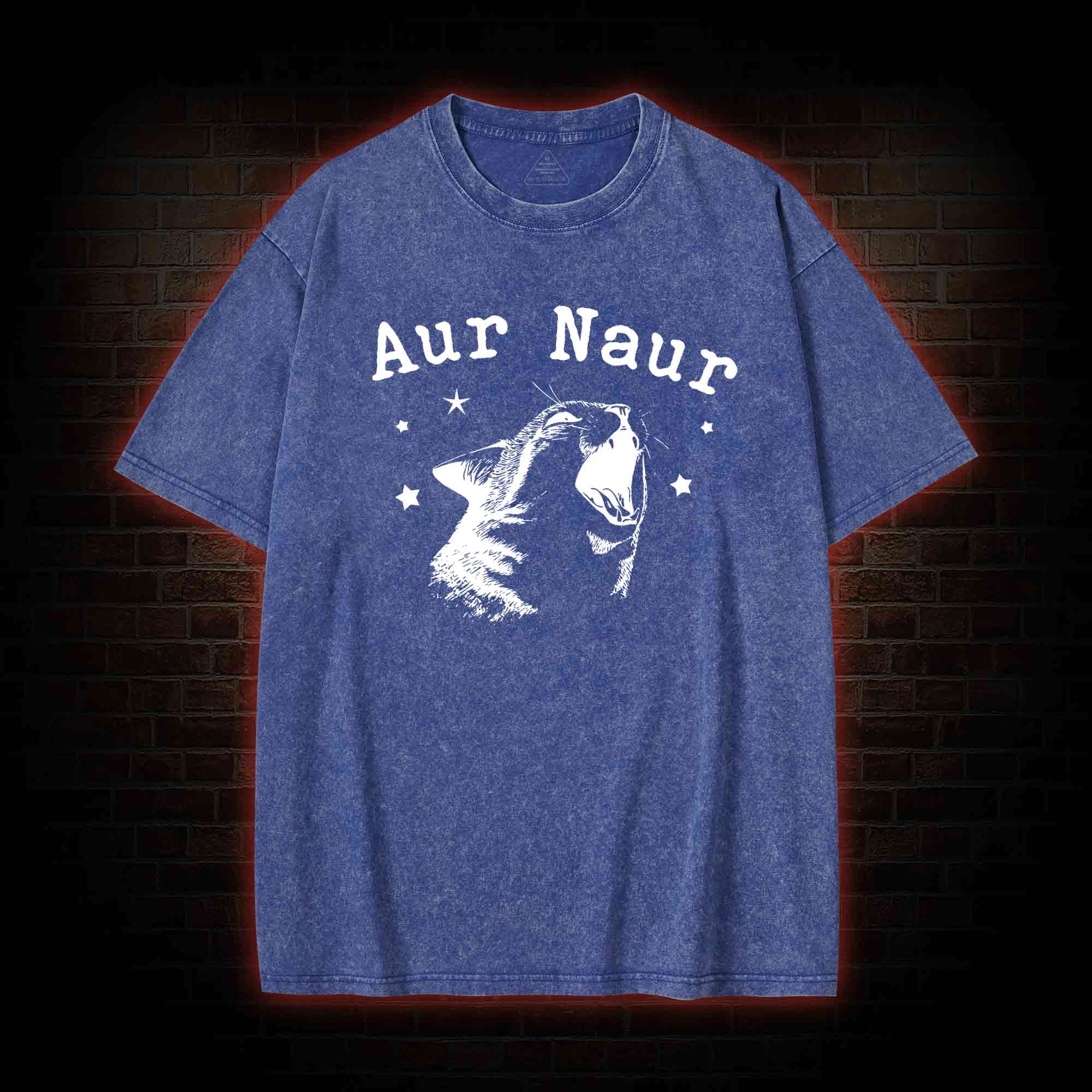 Aur Naur Cat Washed T-shirt