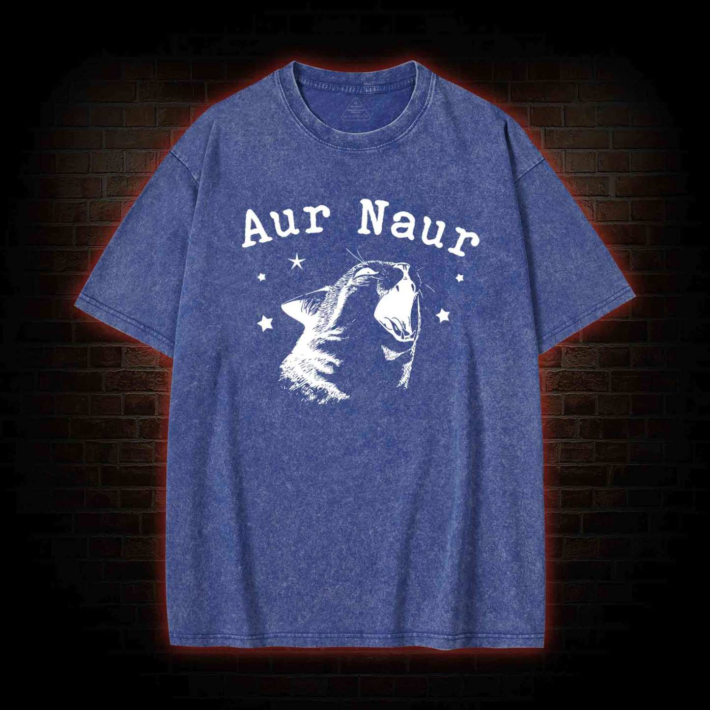 Aur Naur Cat Washed T-shirt