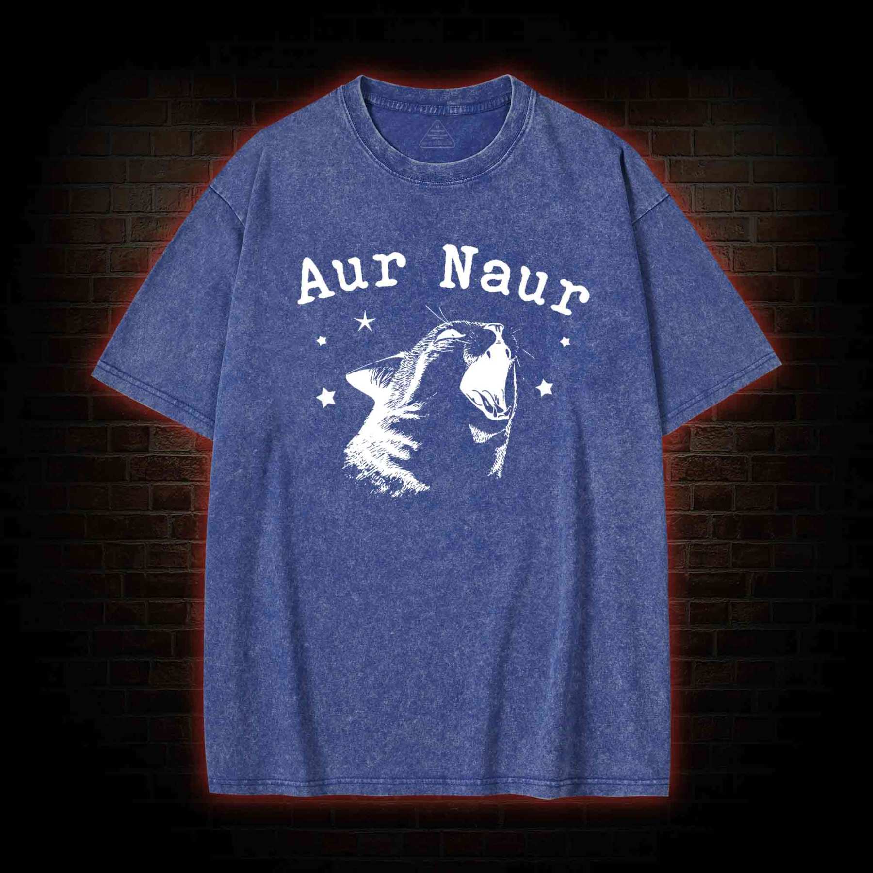 Aur Naur Cat Washed T-shirt