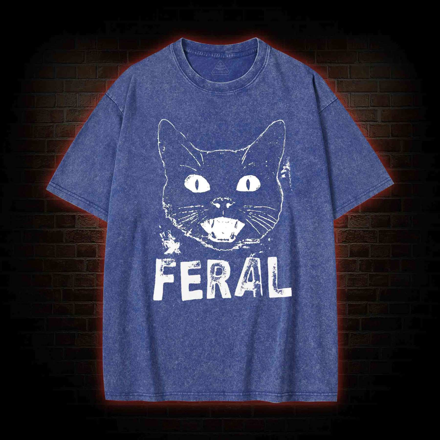 Feral Cat Washed T-shirt