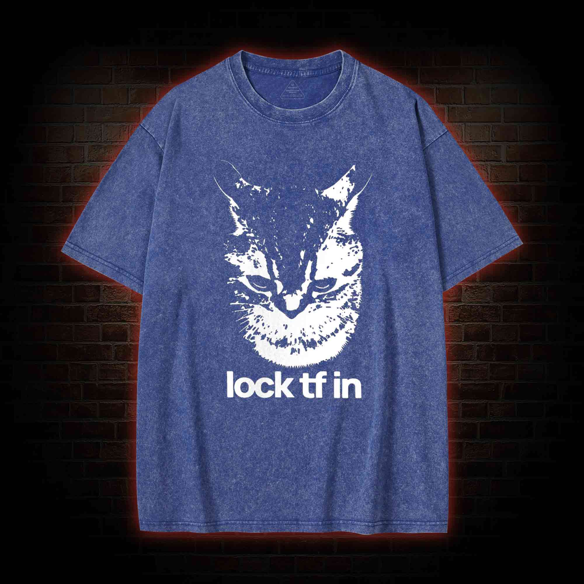 Lock TF in Cat Washed T-shirt