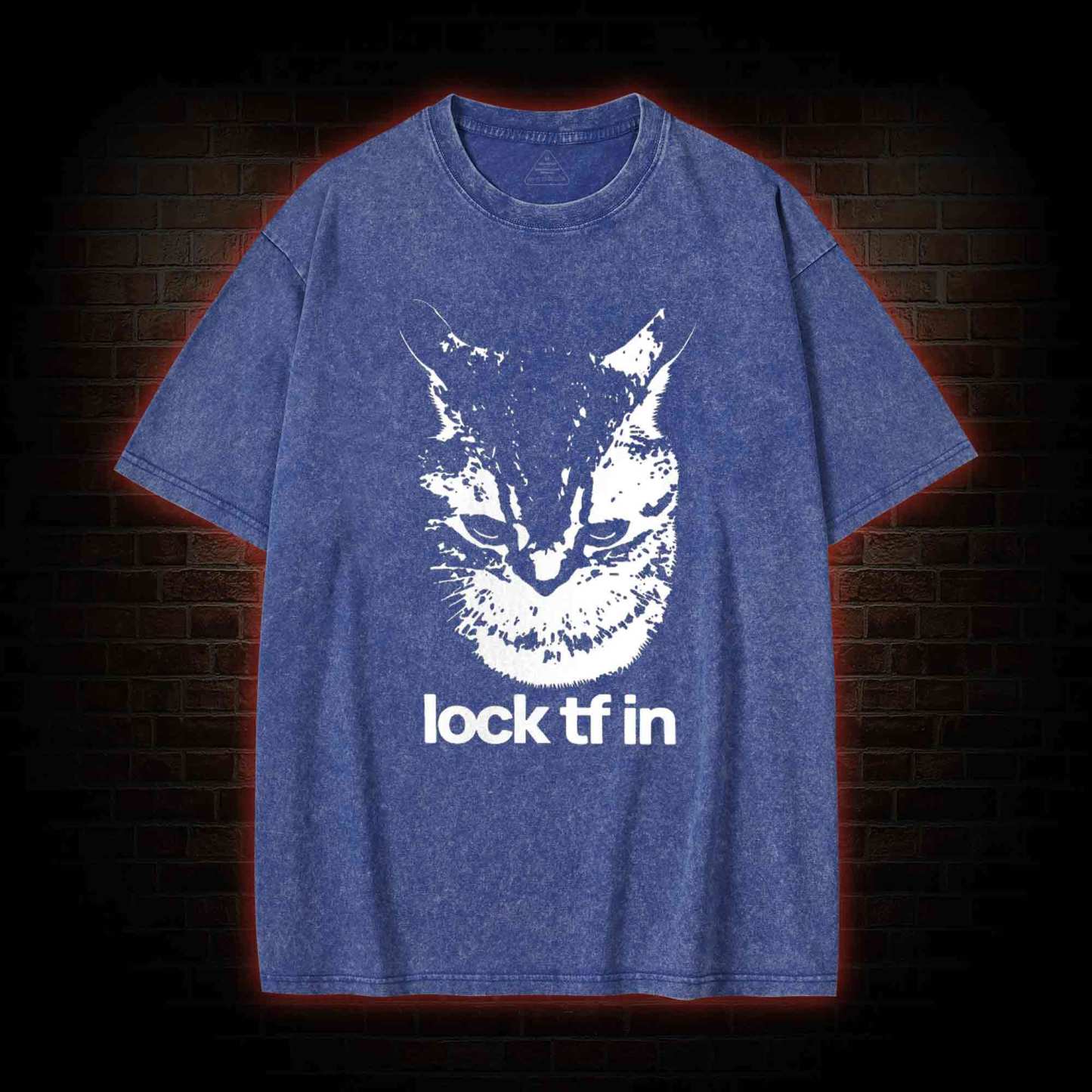 Lock TF in Cat Washed T-shirt