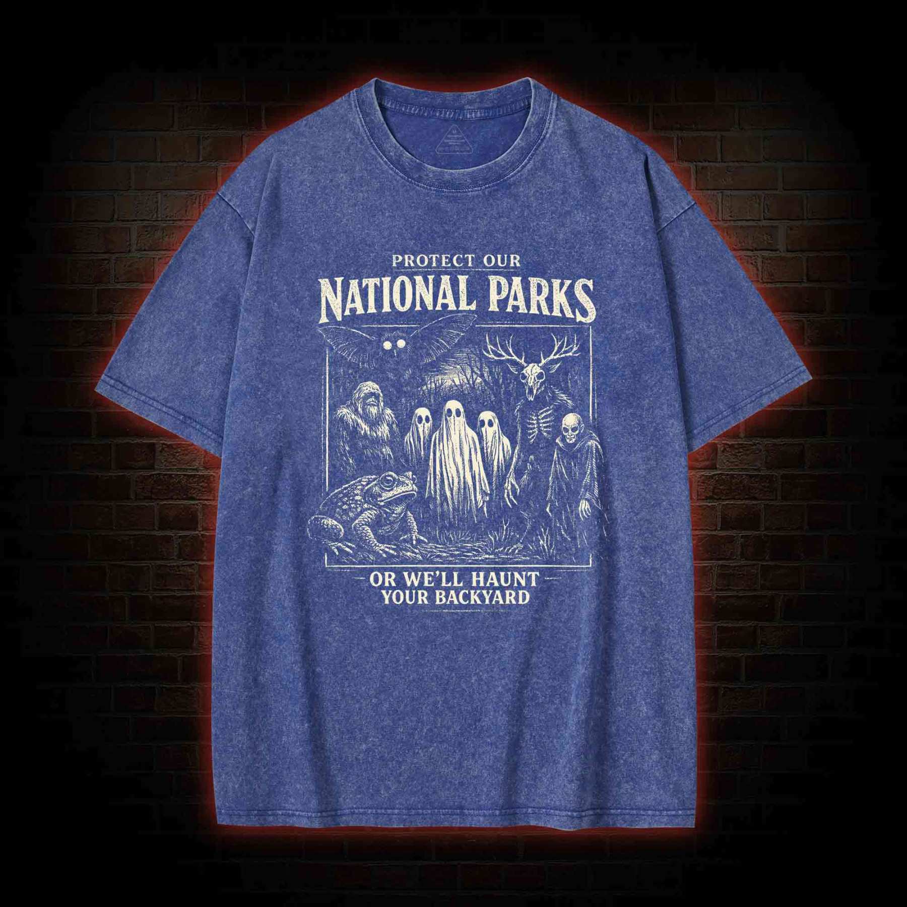 Protect Our National Parks Washed T-shirt