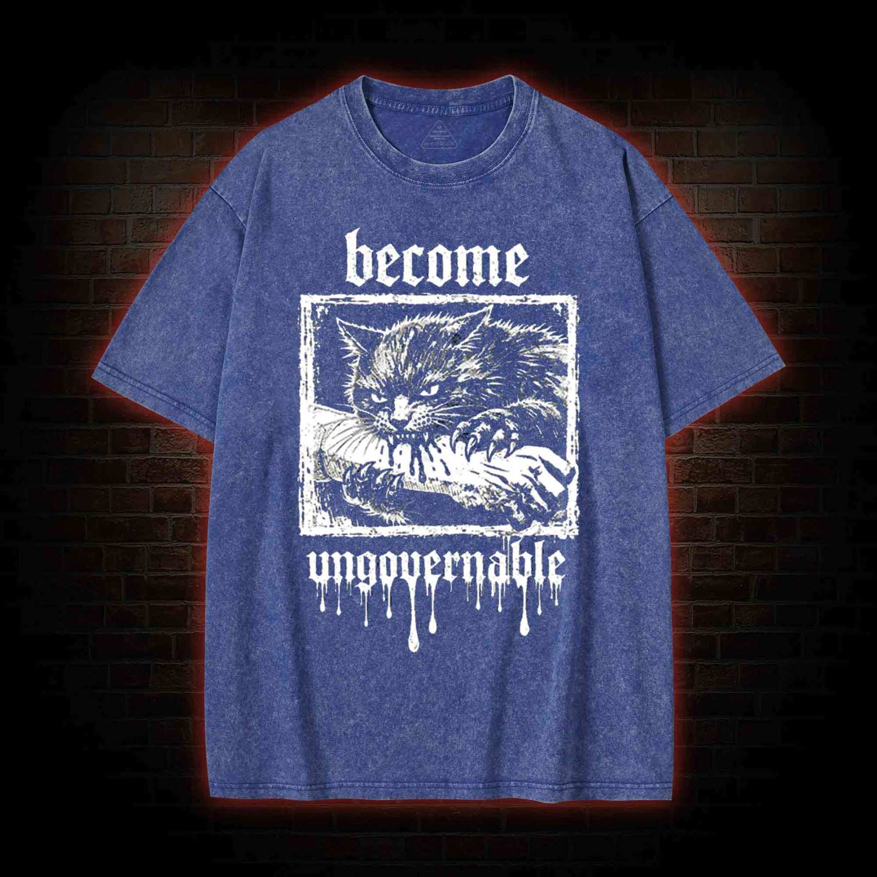 Funny Feral Cat Washed T-shirt