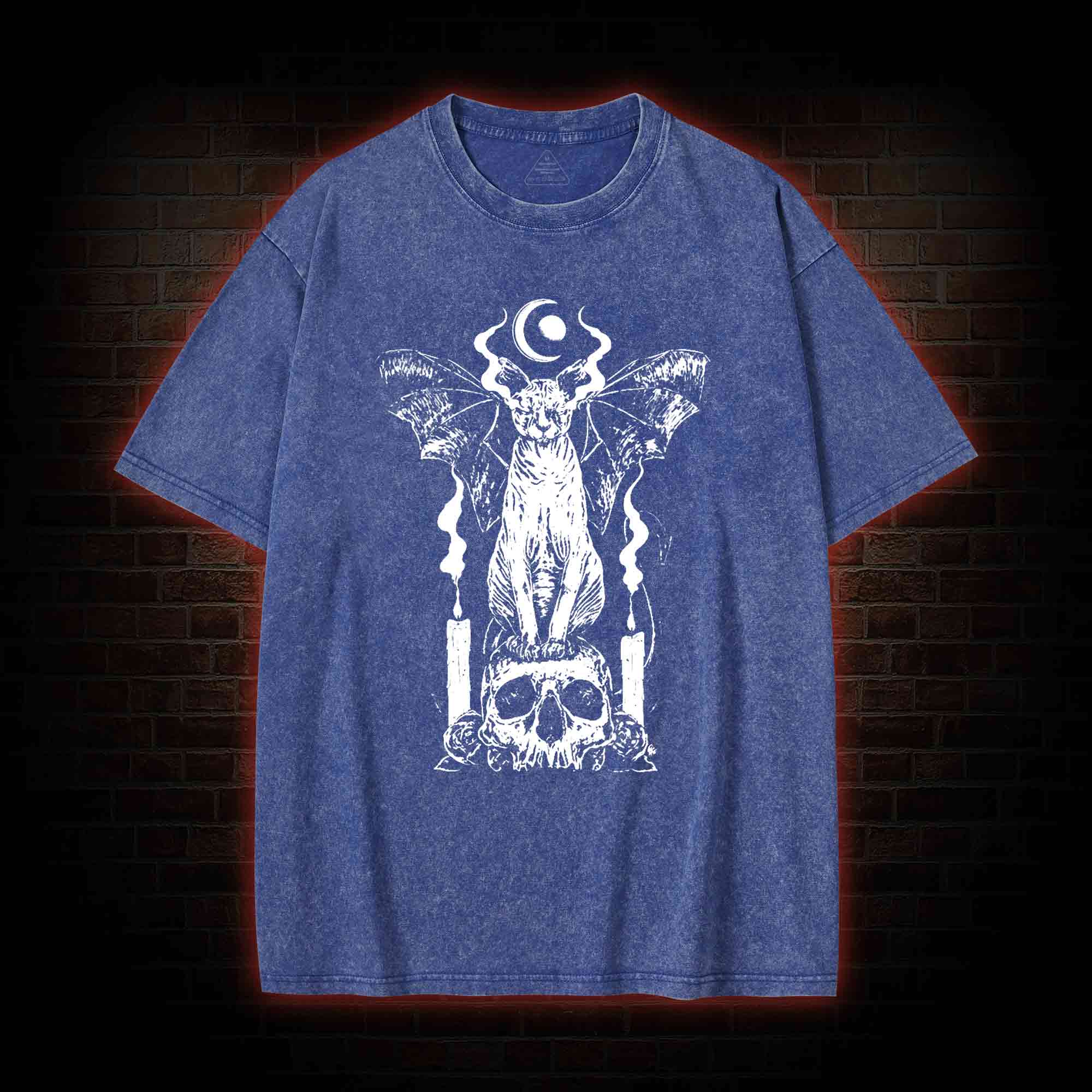Sphynx Cat Washed T-shirt