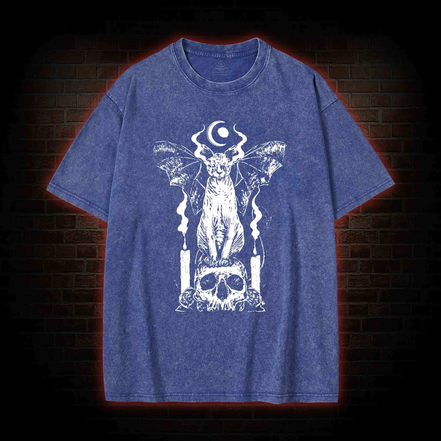 Sphynx Cat Washed T-shirt