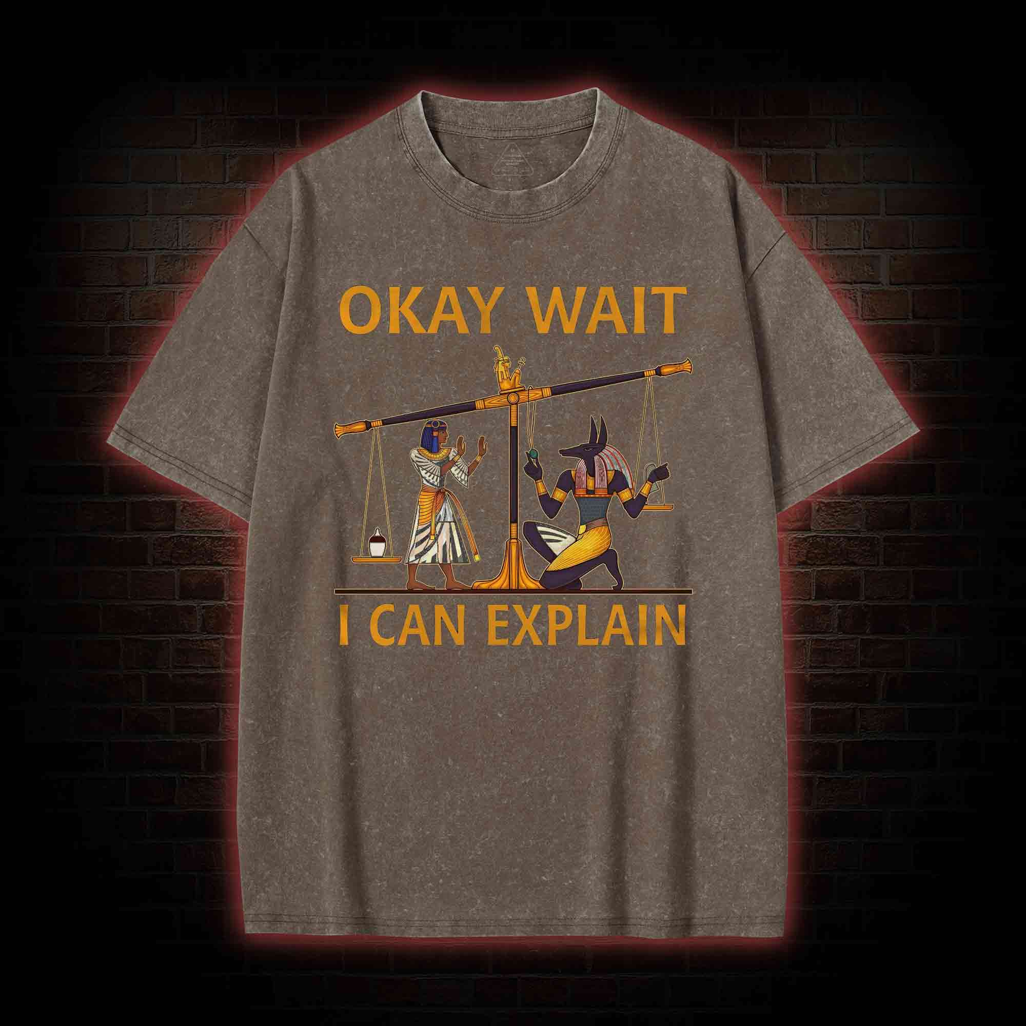 Okay Wait I can Explain Washed T-shirt