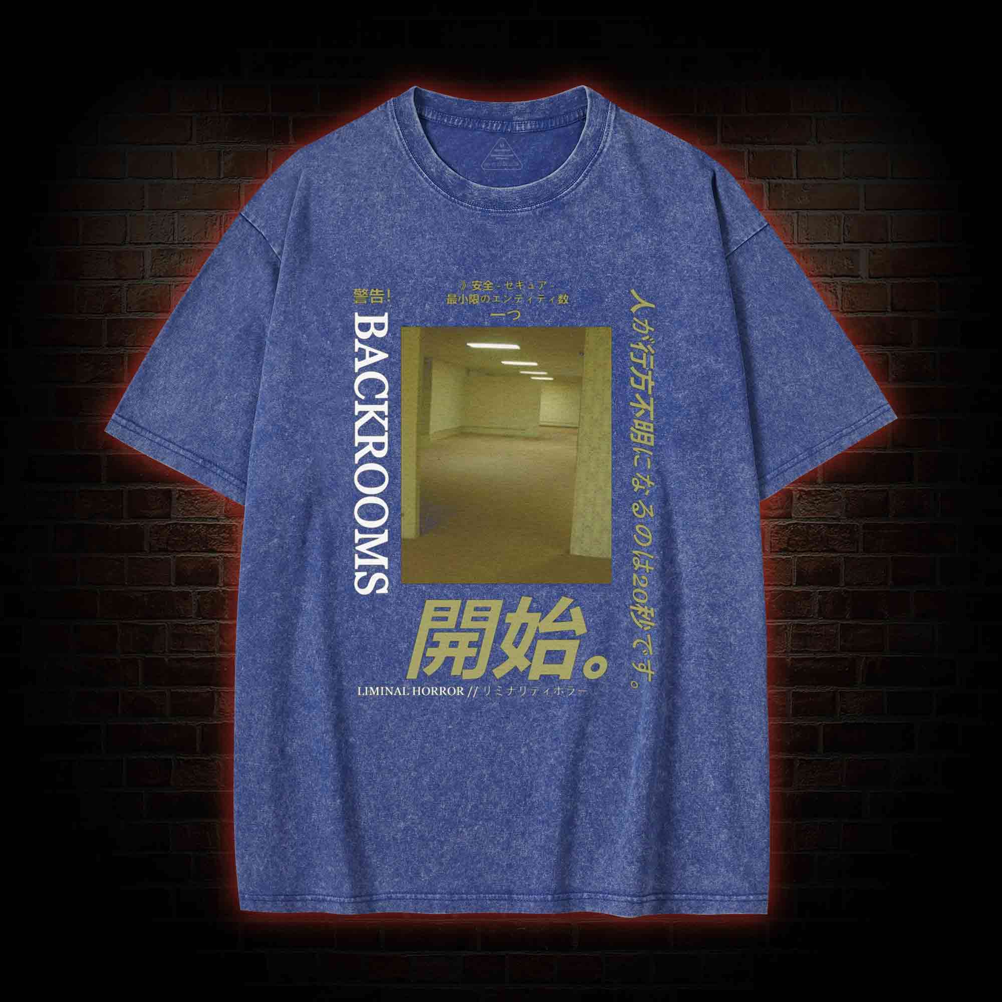 Liminal Horror Washed T-shirt