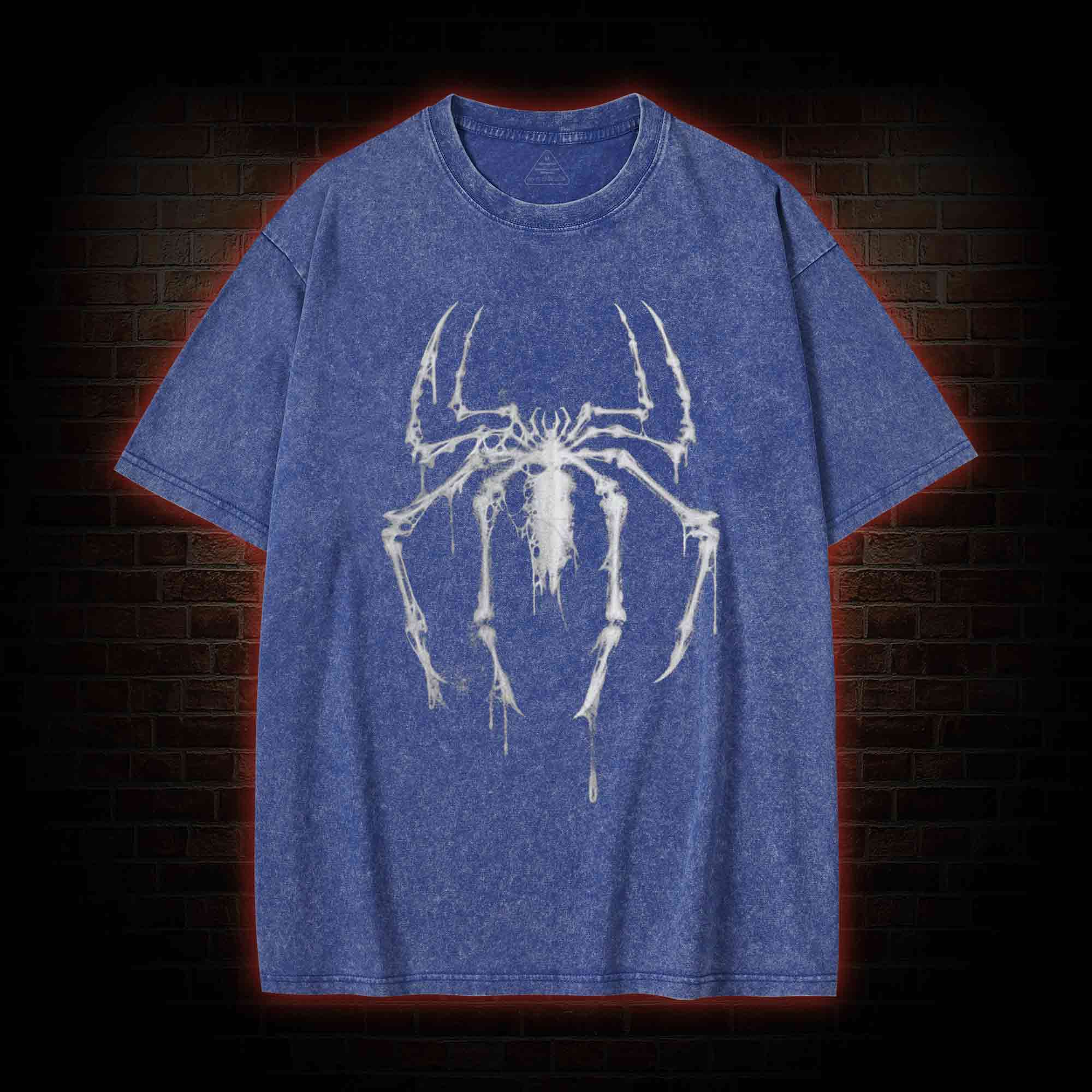 Vintage Spider Washed T-shirt