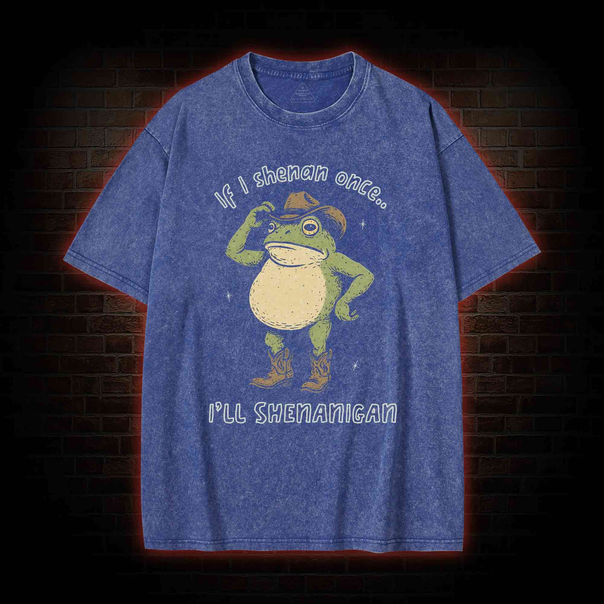 If I Shenan once... I'll Shenanigan Washed T-shirt