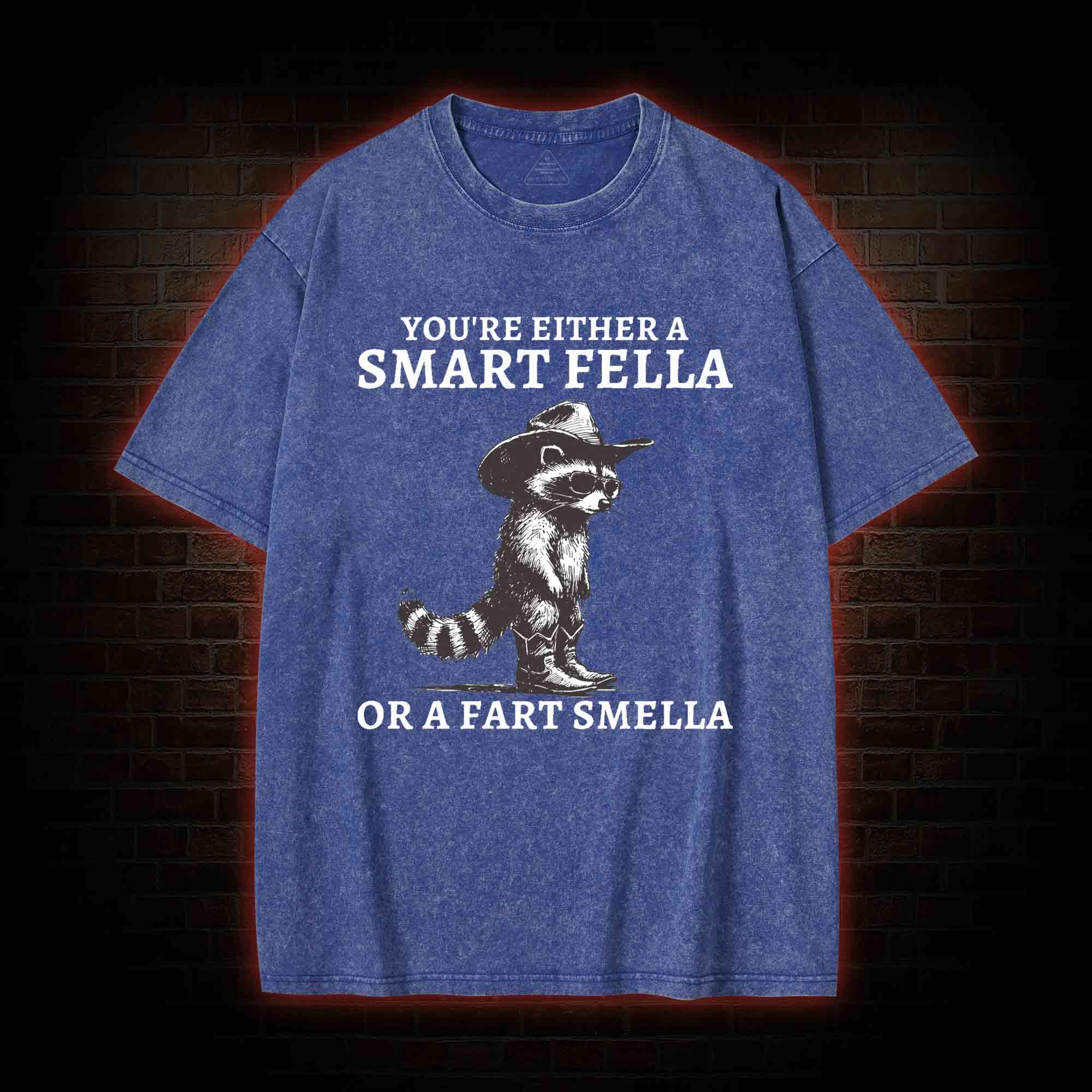 You're Either a Smart Fella or a  Fart Smella Washed T-shirt