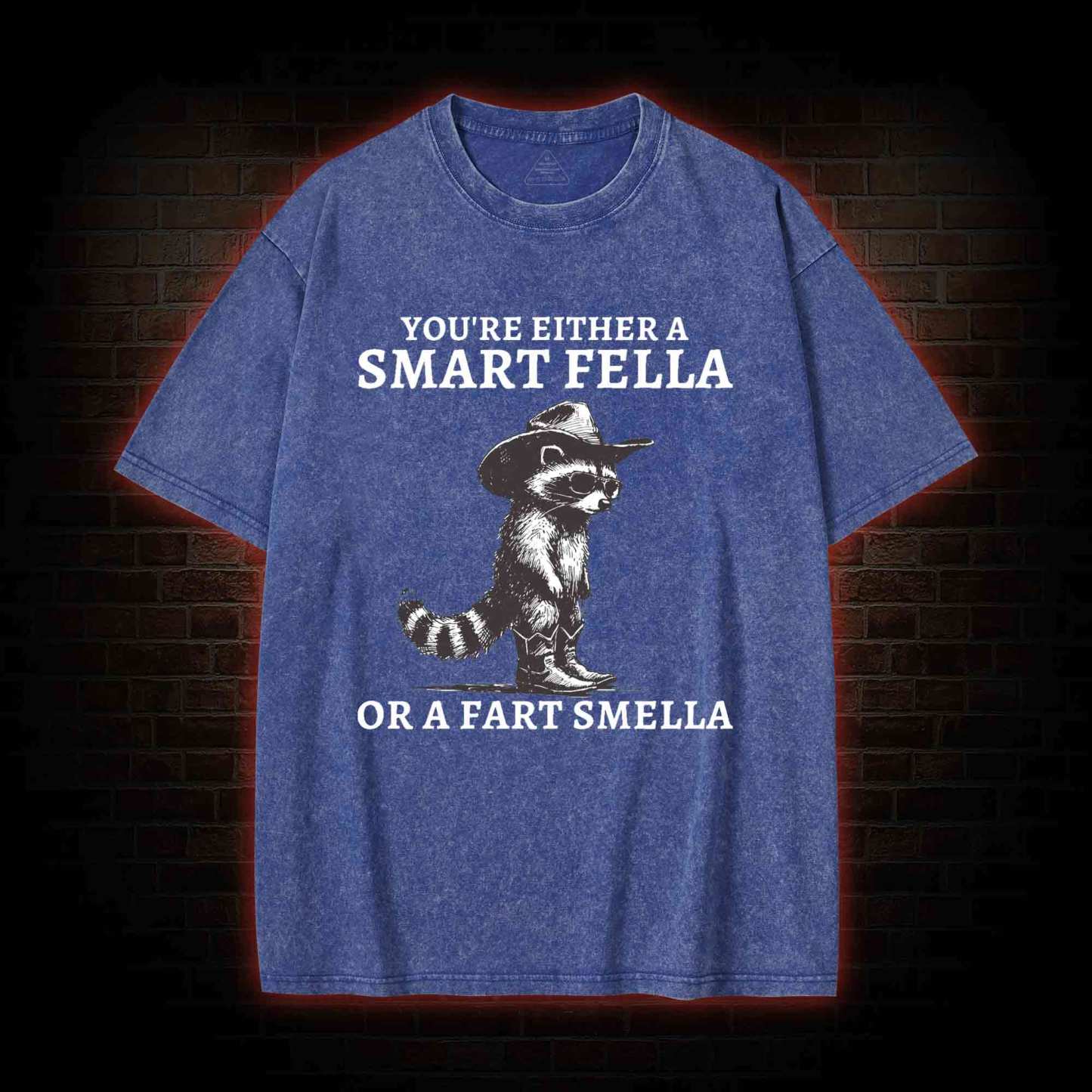 You're Either a Smart Fella or a  Fart Smella Washed T-shirt