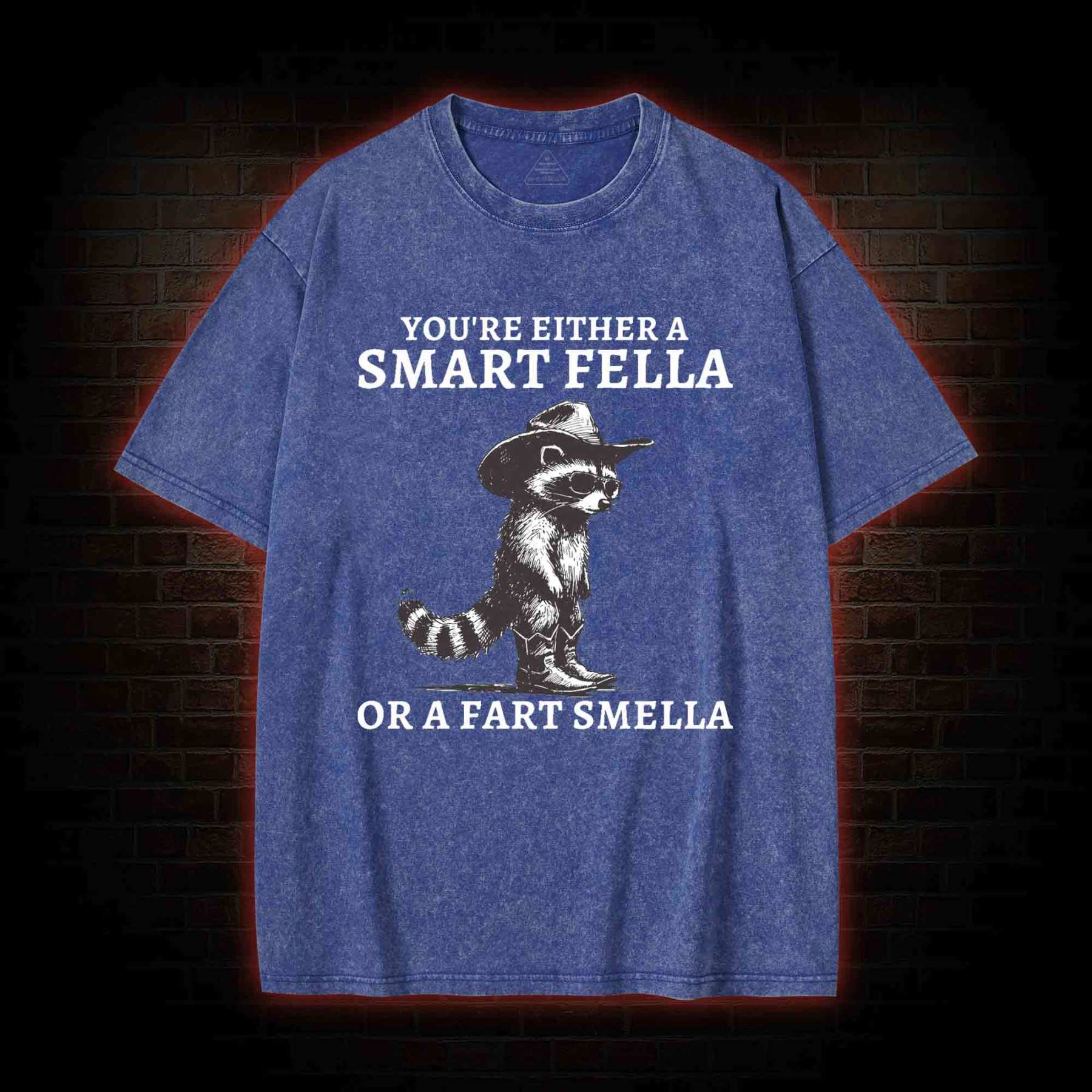 You're Either a Smart Fella or a  Fart Smella Washed T-shirt
