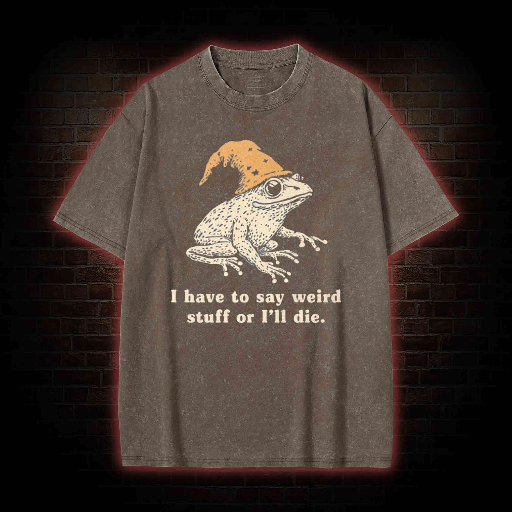 Frog Meme Washed T-shirt