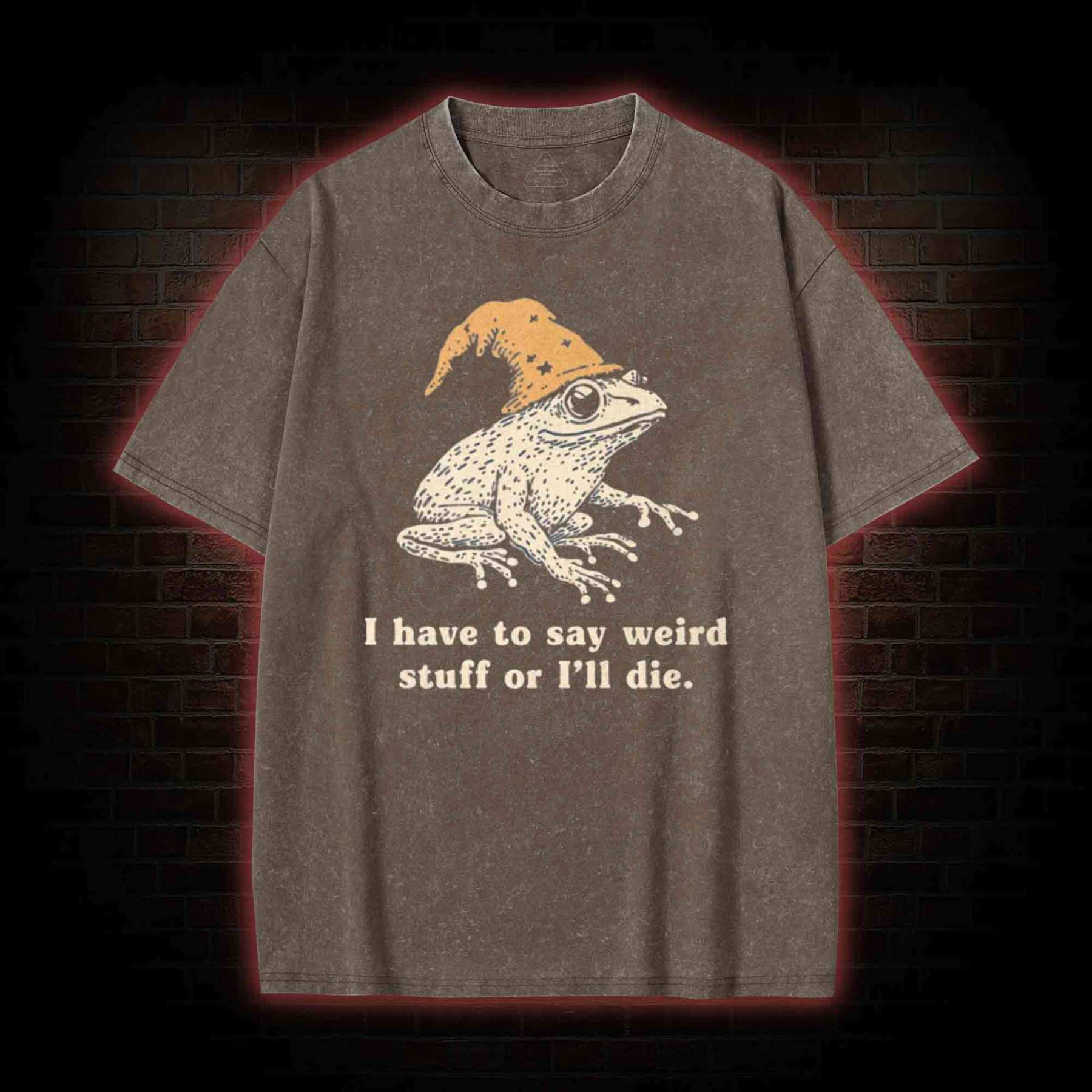 Frog Meme Washed T-shirt