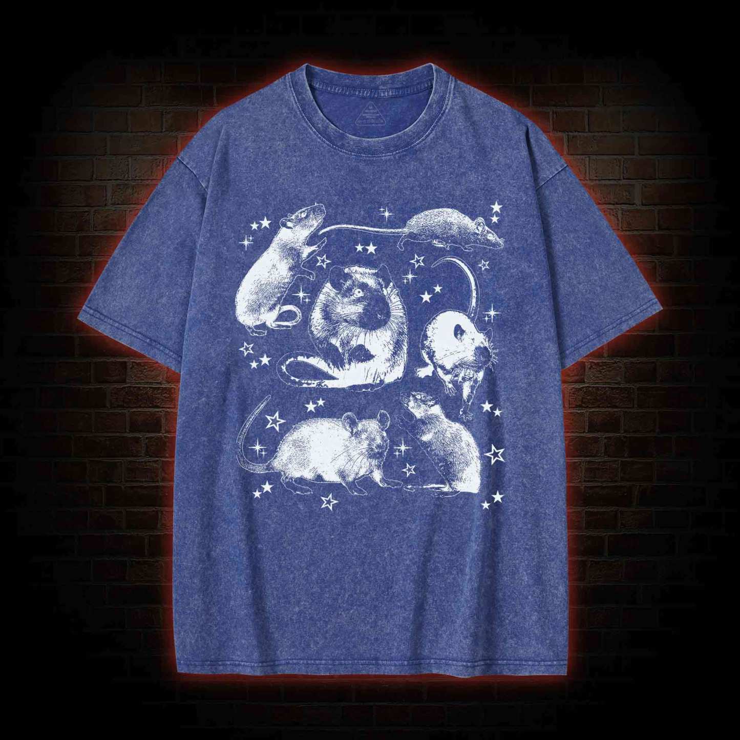 Vintage Rat Washed T-shirt