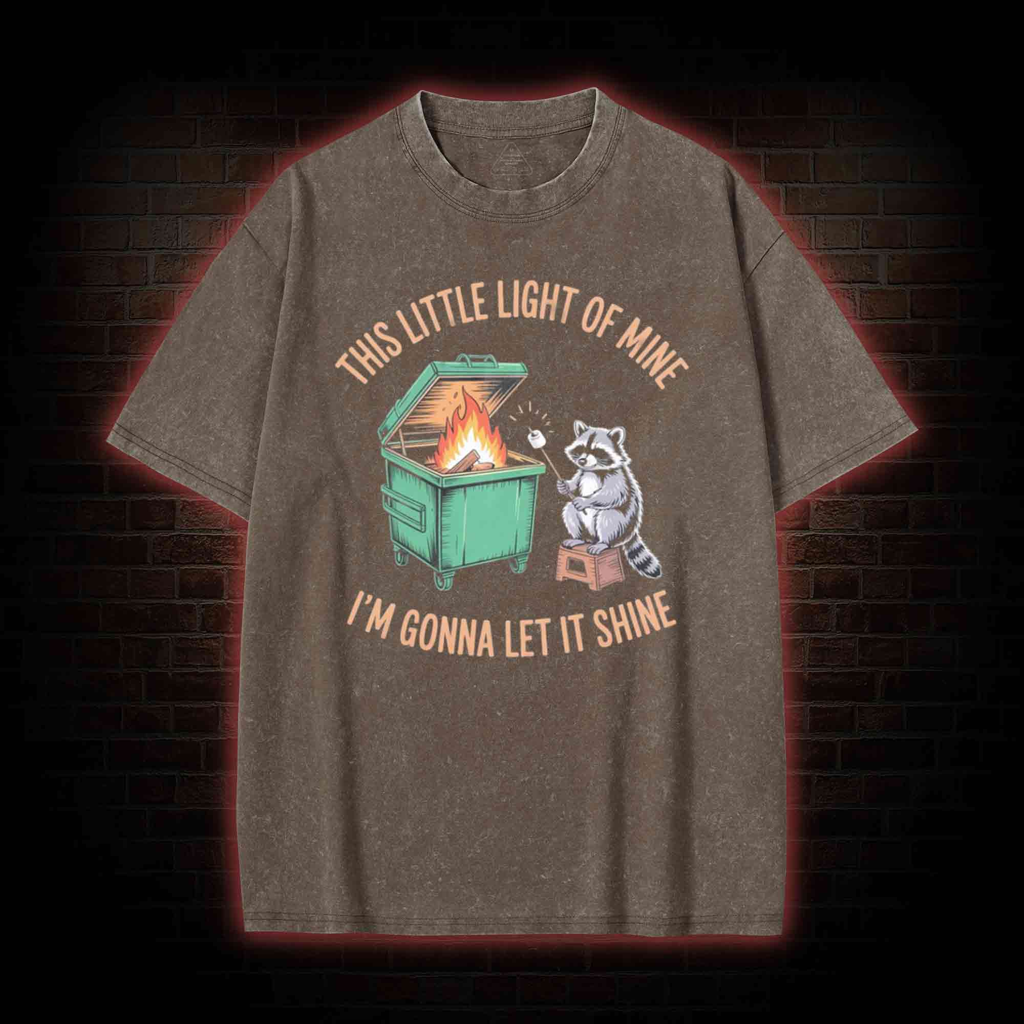 Dumpster Fire Raccoon Washed T-shirt