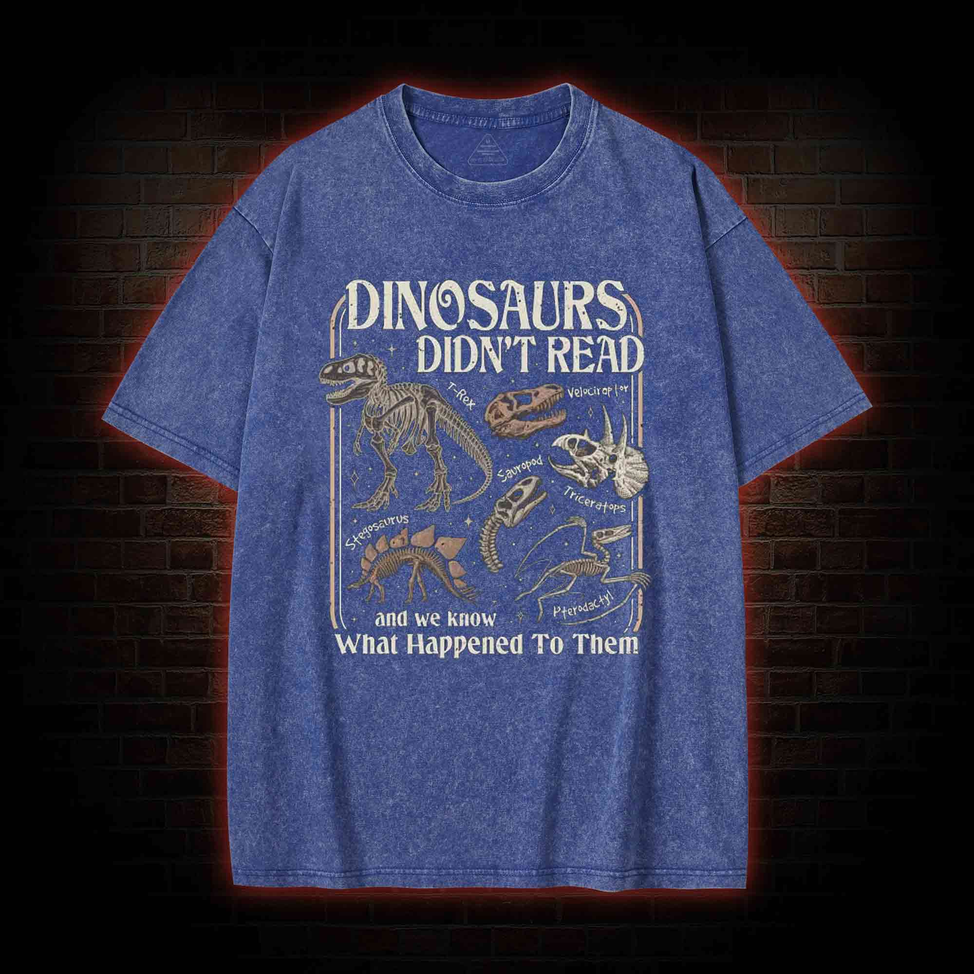 Dinosaurs Didn't Read Washed T-shirt