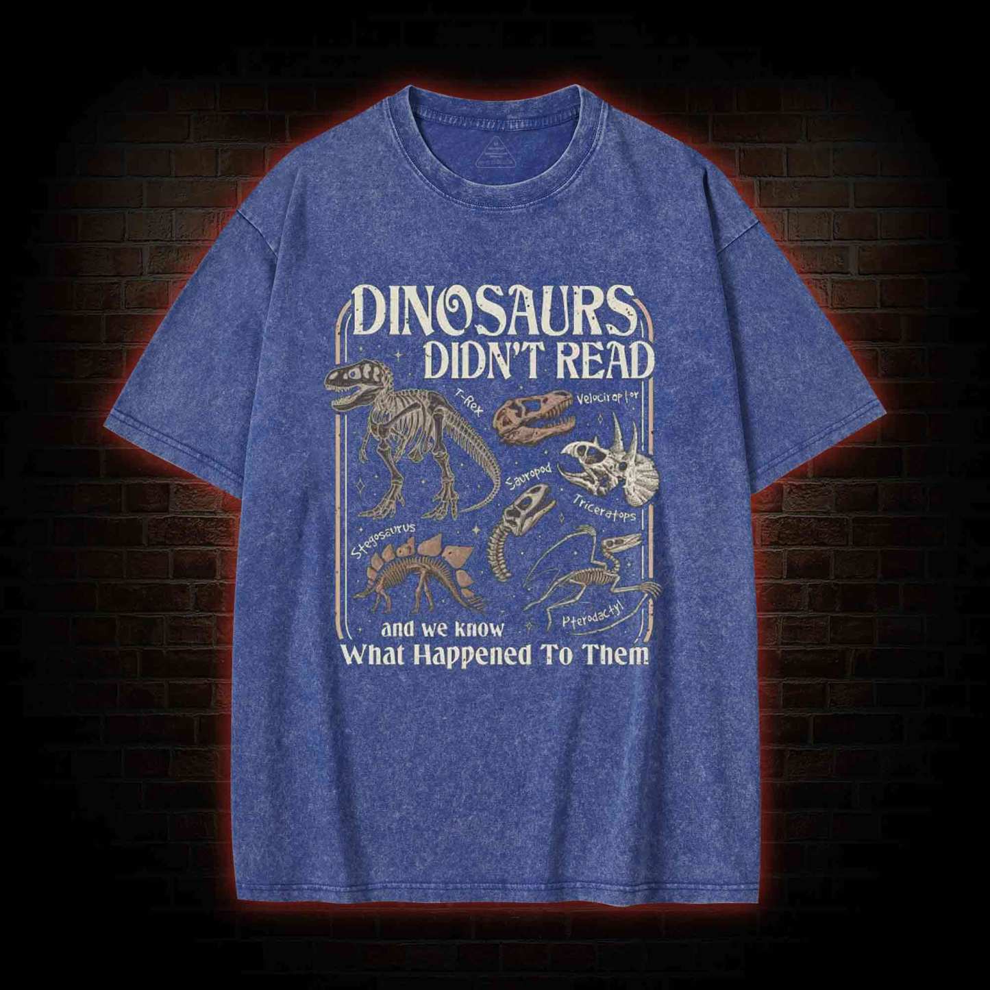 Dinosaurs Didn't Read Washed T-shirt