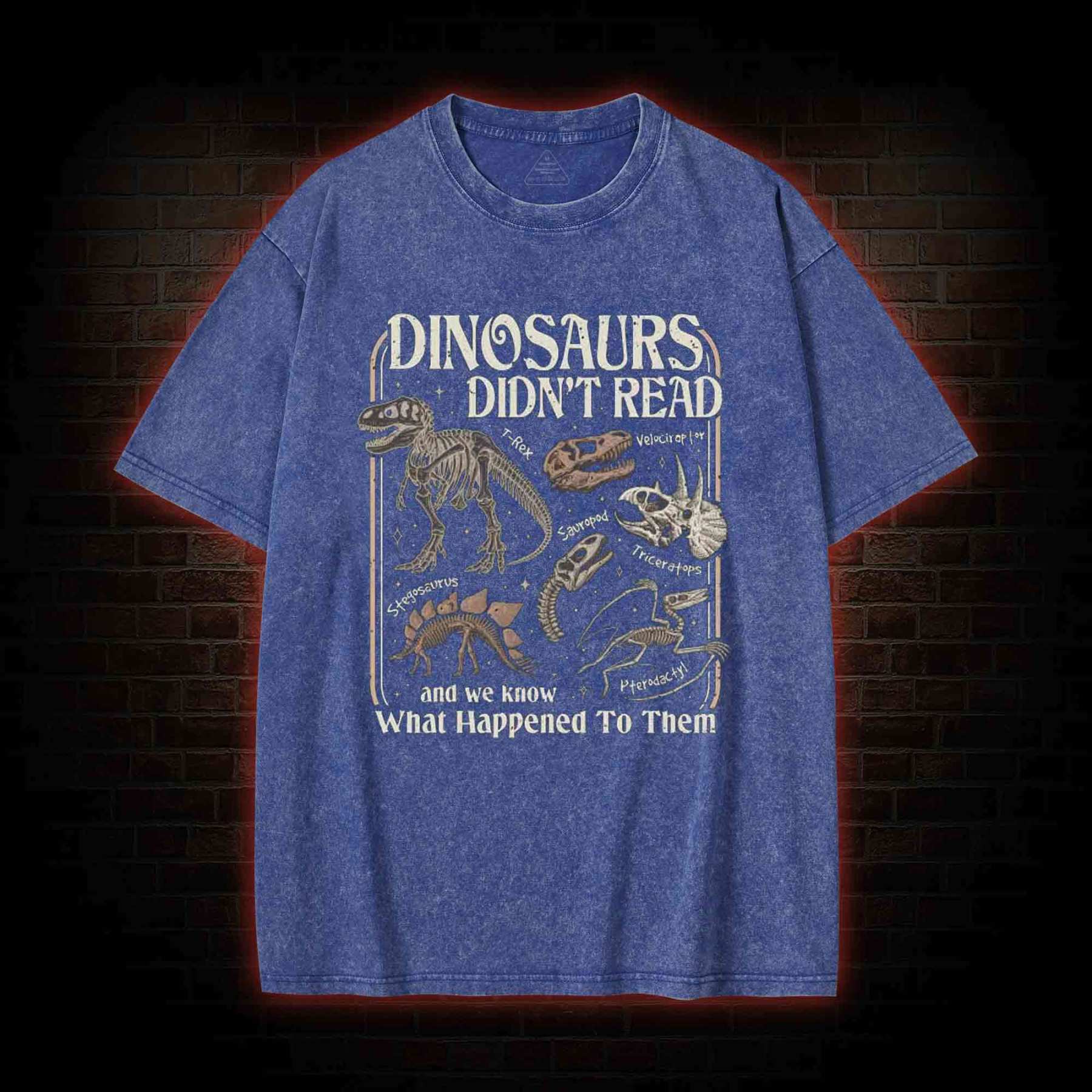 Dinosaurs Didn't Read Washed T-shirt