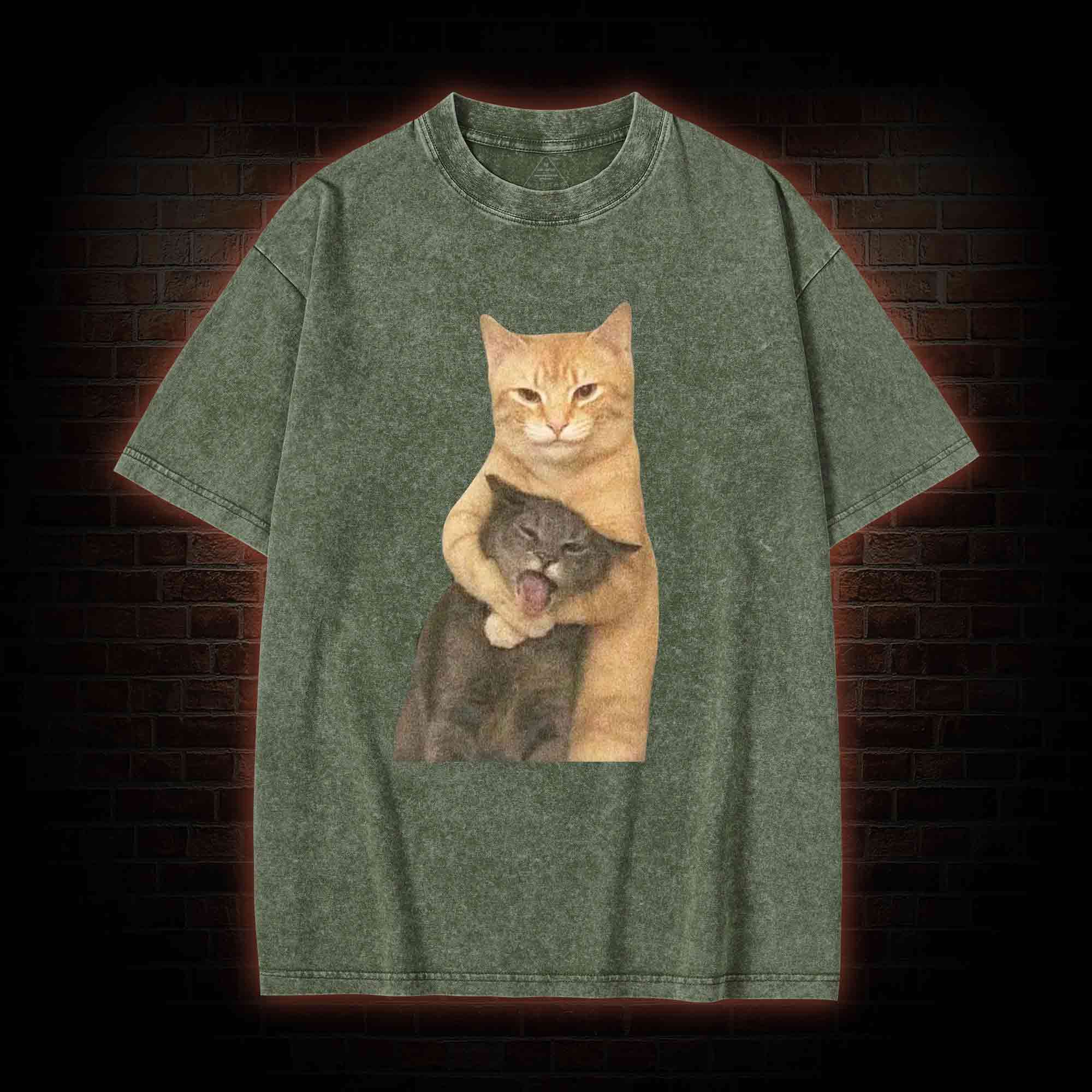 Fighting Cat Memes Washed T-shirt