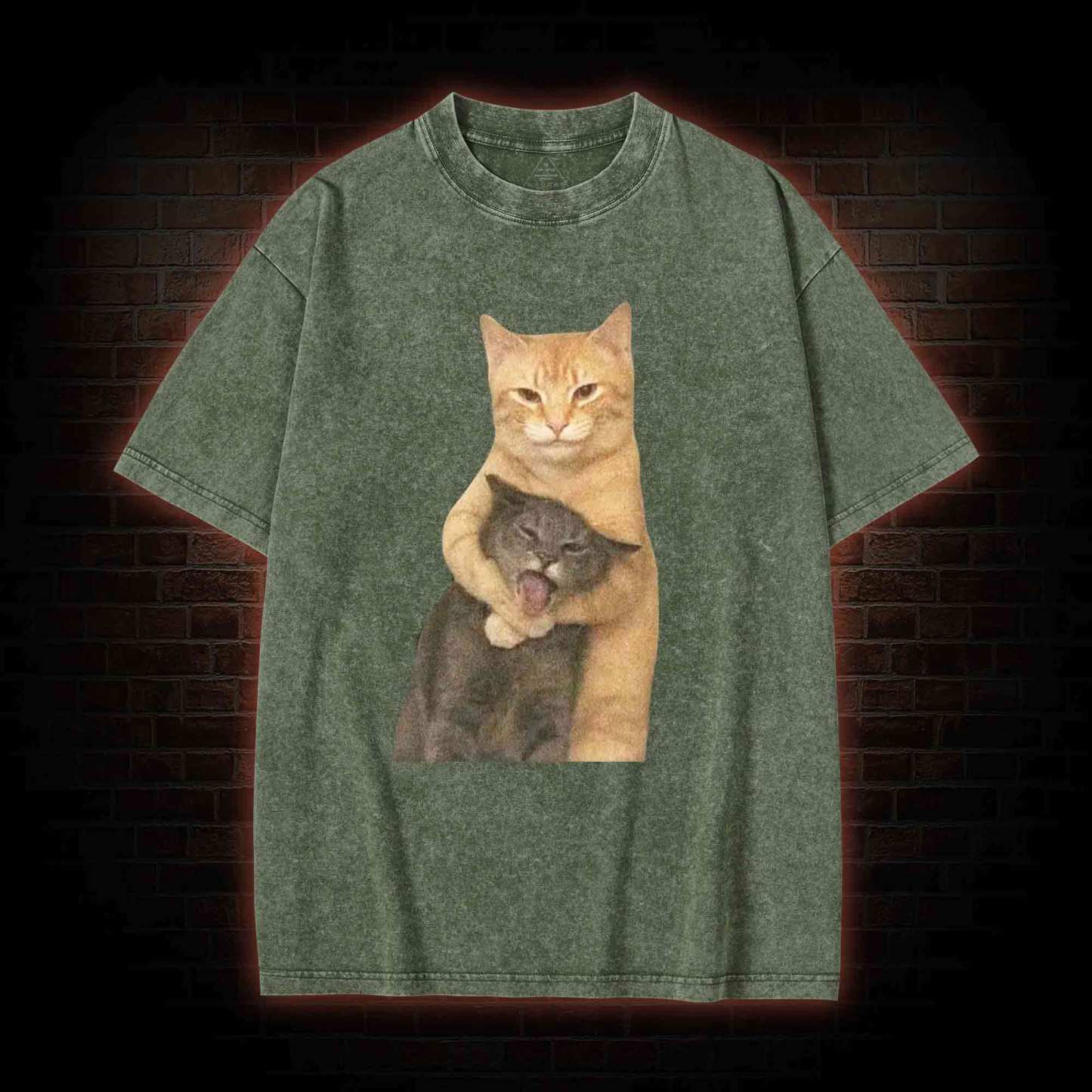 Fighting Cat Memes Washed T-shirt