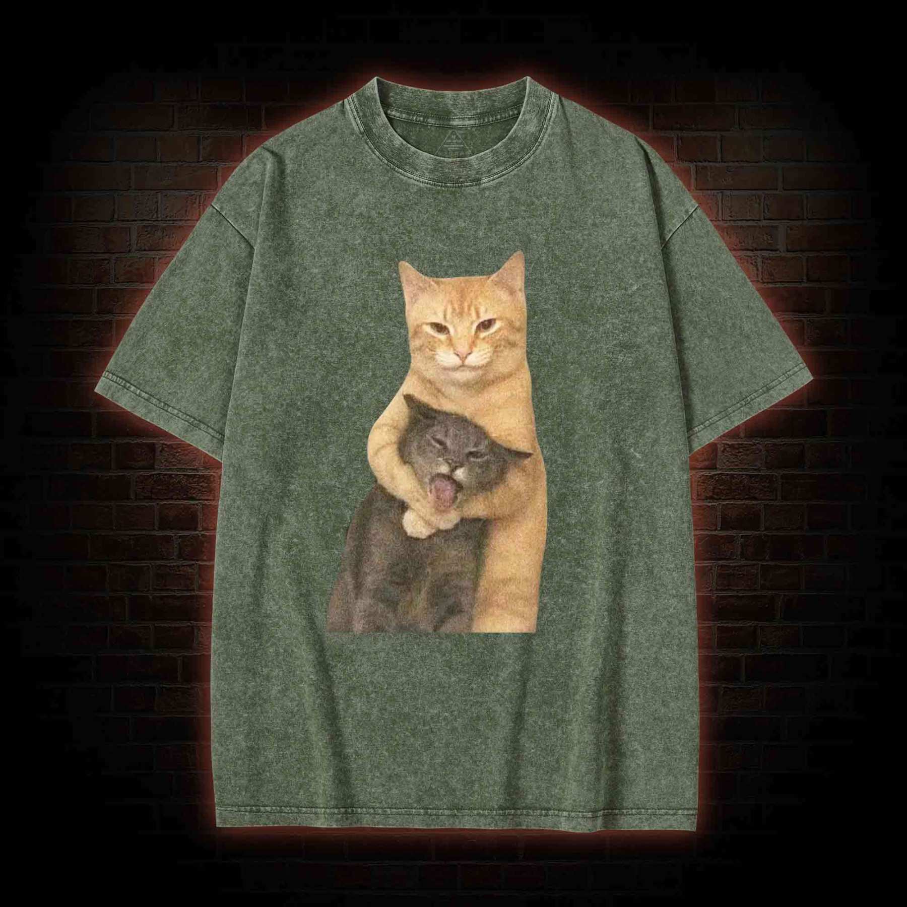 Fighting Cat Memes Washed T-shirt
