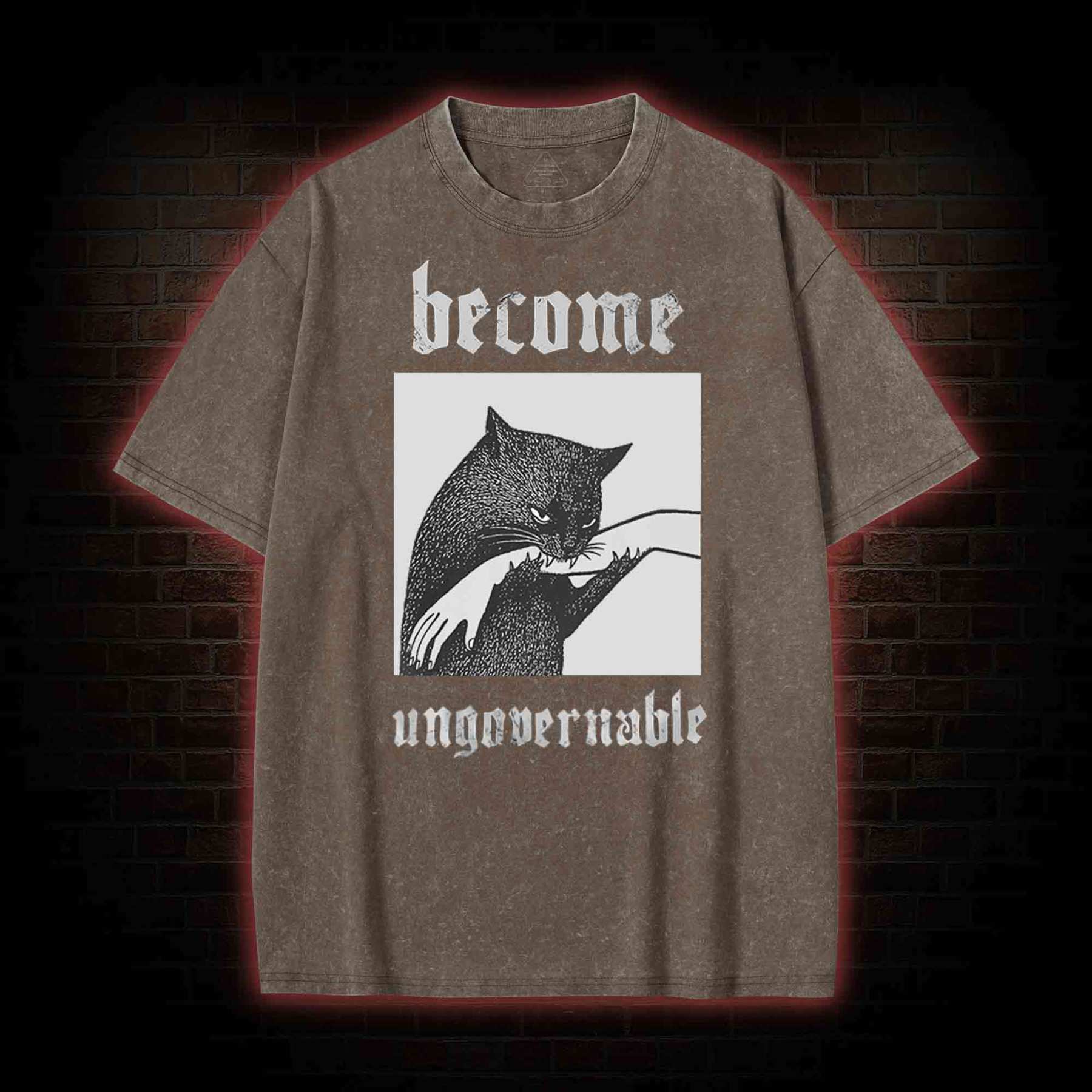 Silly Cats Washed T-shirt