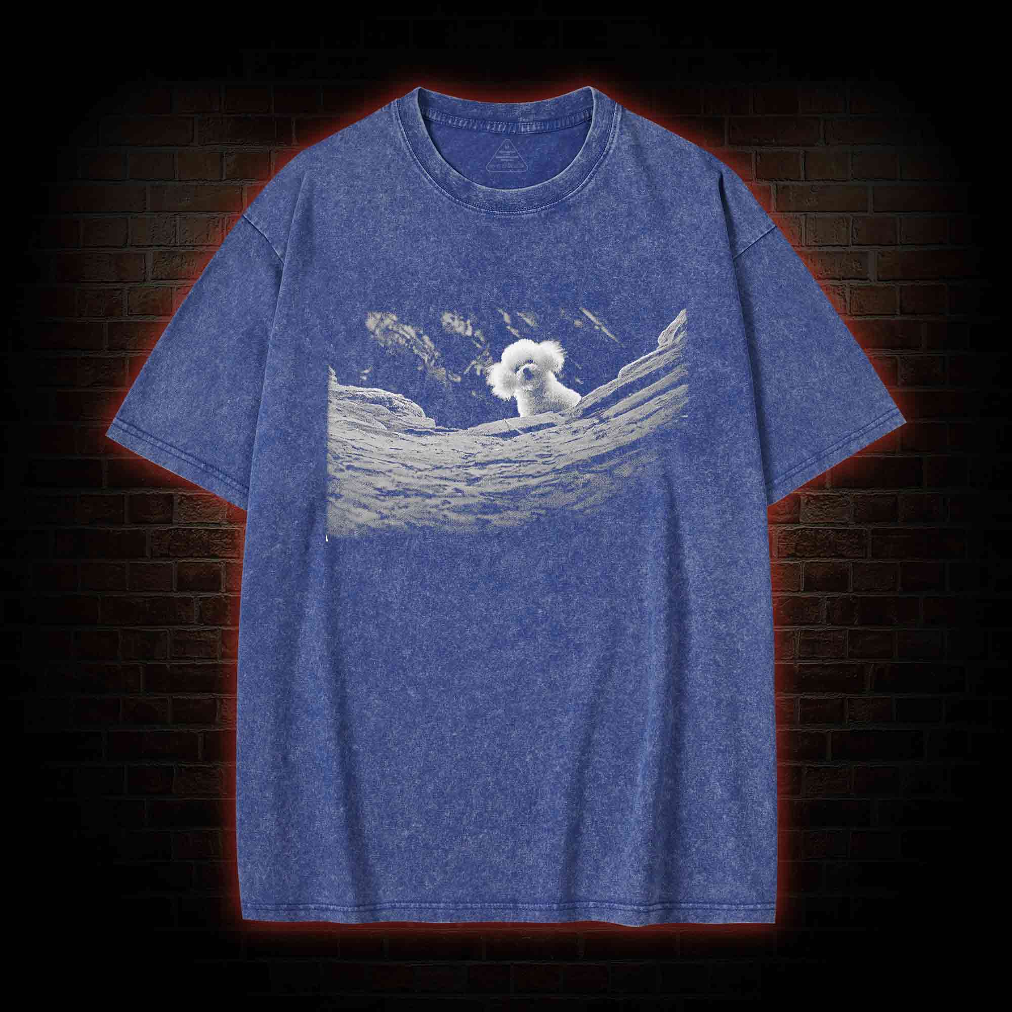 It Rubs the Lotion on Its Skin Washed T-shirt