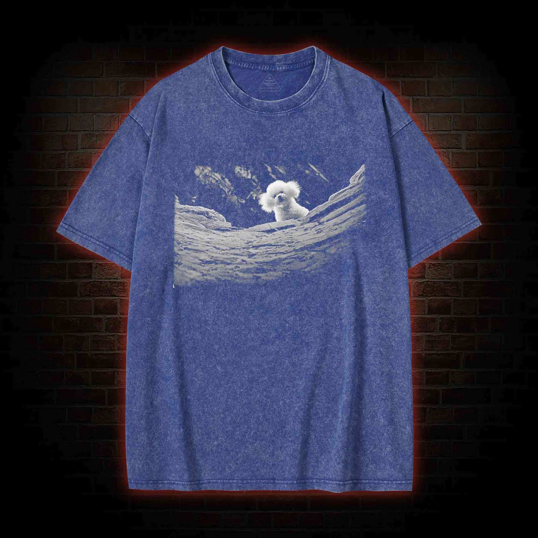 It Rubs the Lotion on Its Skin Washed T-shirt