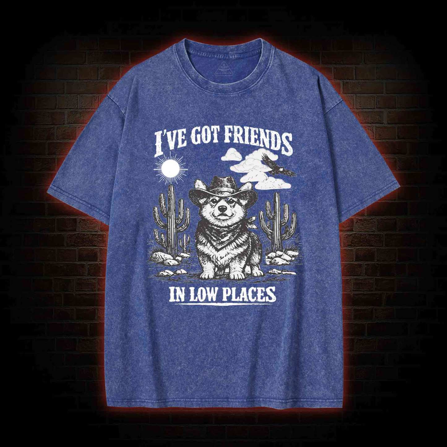 I've Got Friends in Low Places Washed T-shirt