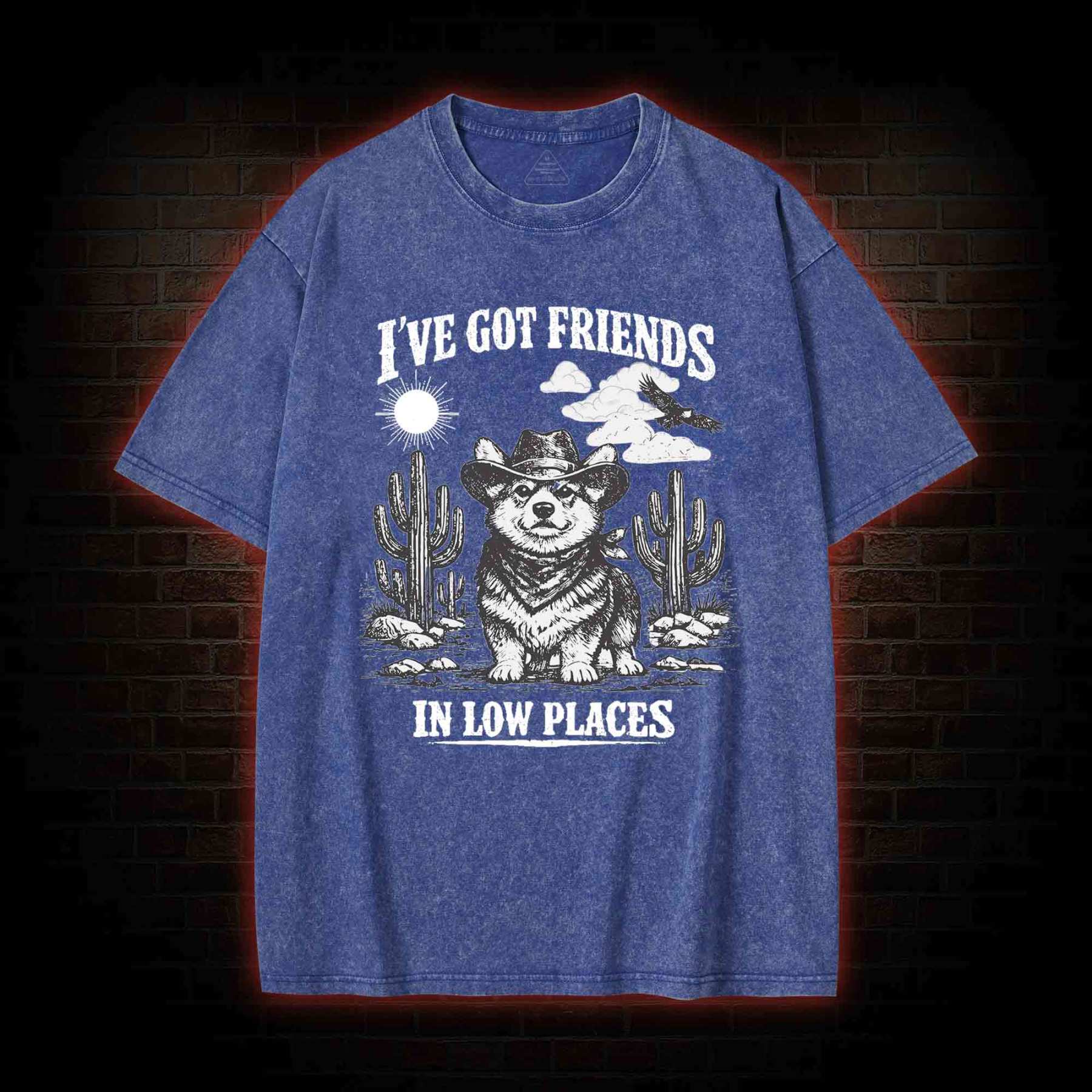 I've Got Friends in Low Places Washed T-shirt