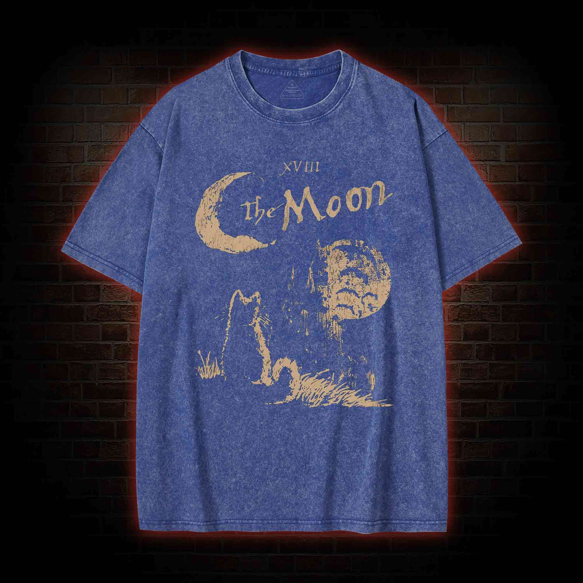 The Moon Cat Washed T-shirt