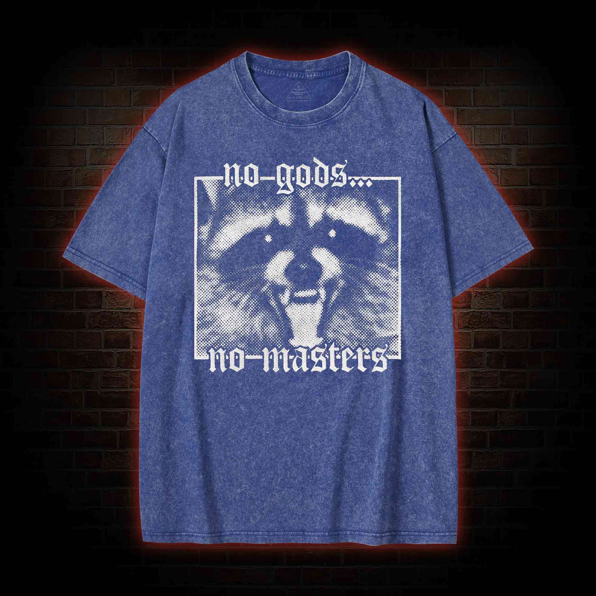 No Gods No Masters Raccoon Washed T-shirt