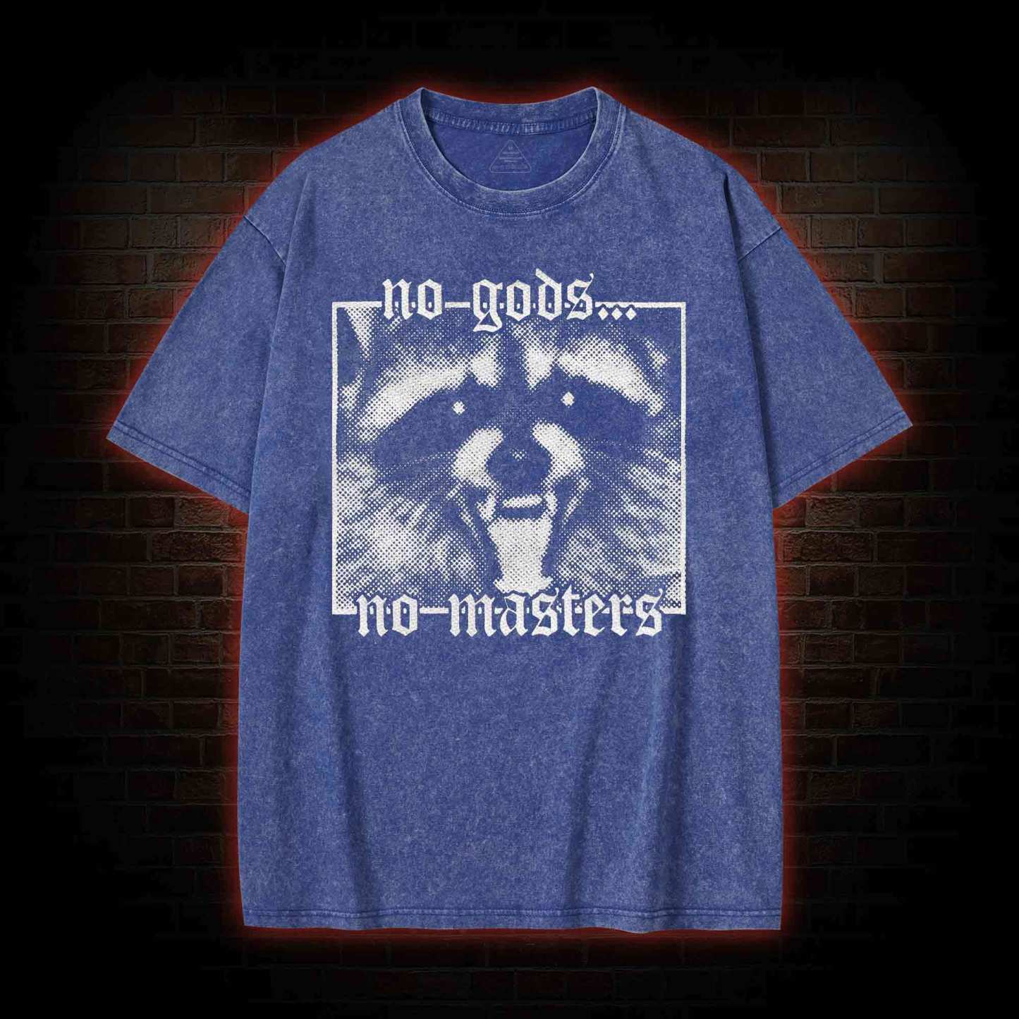 No Gods No Masters Raccoon Washed T-shirt