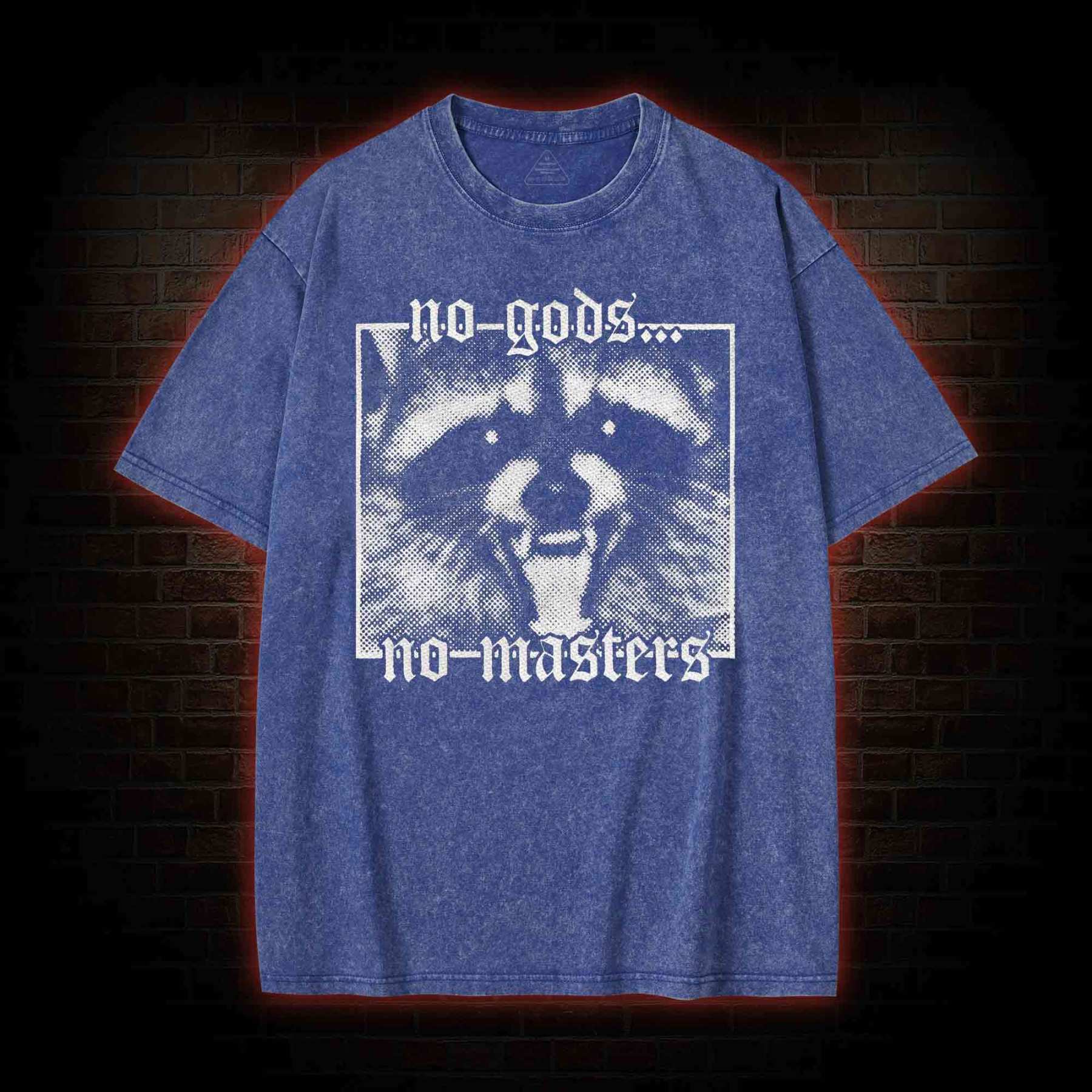 No Gods No Masters Raccoon Washed T-shirt