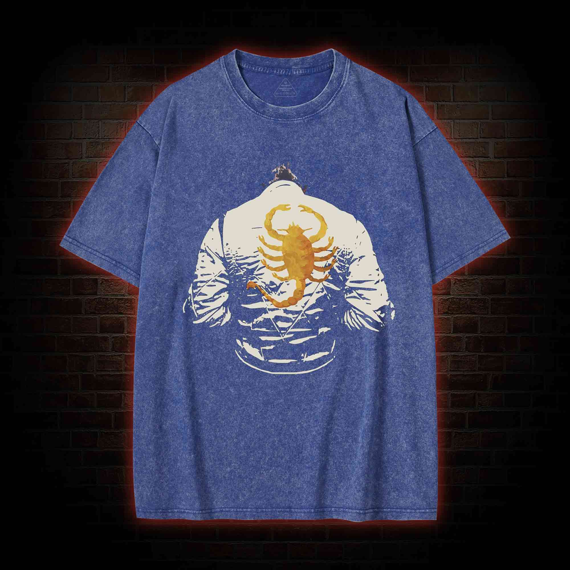 You Know the Story about the Scorpion and the Frog Washed T-shirt