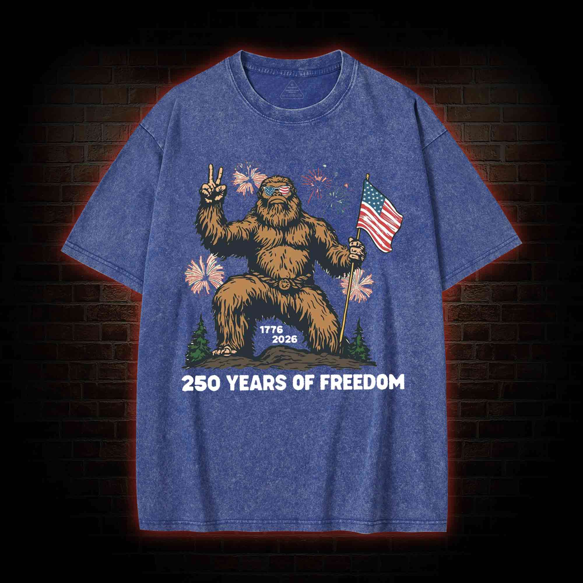 250 Years of Freedom Washed T-shirt