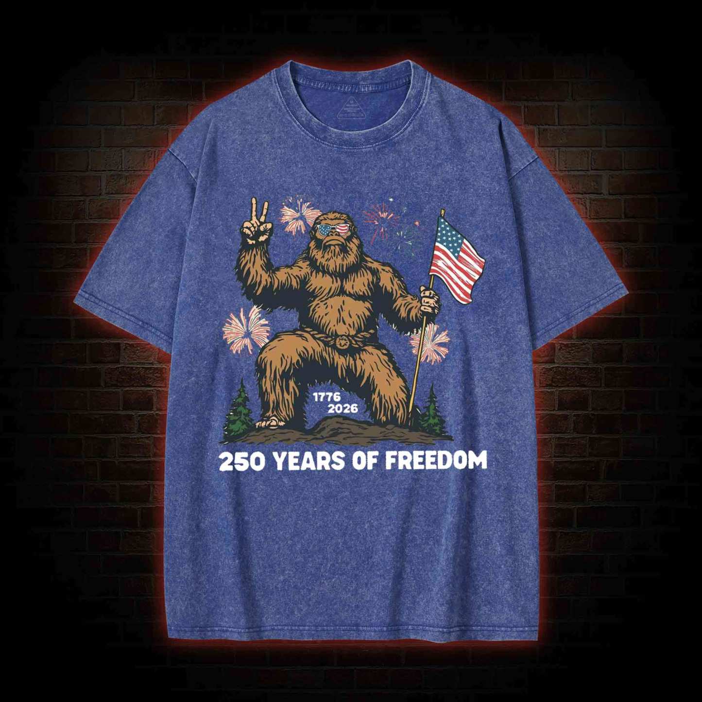 250 Years of Freedom Washed T-shirt