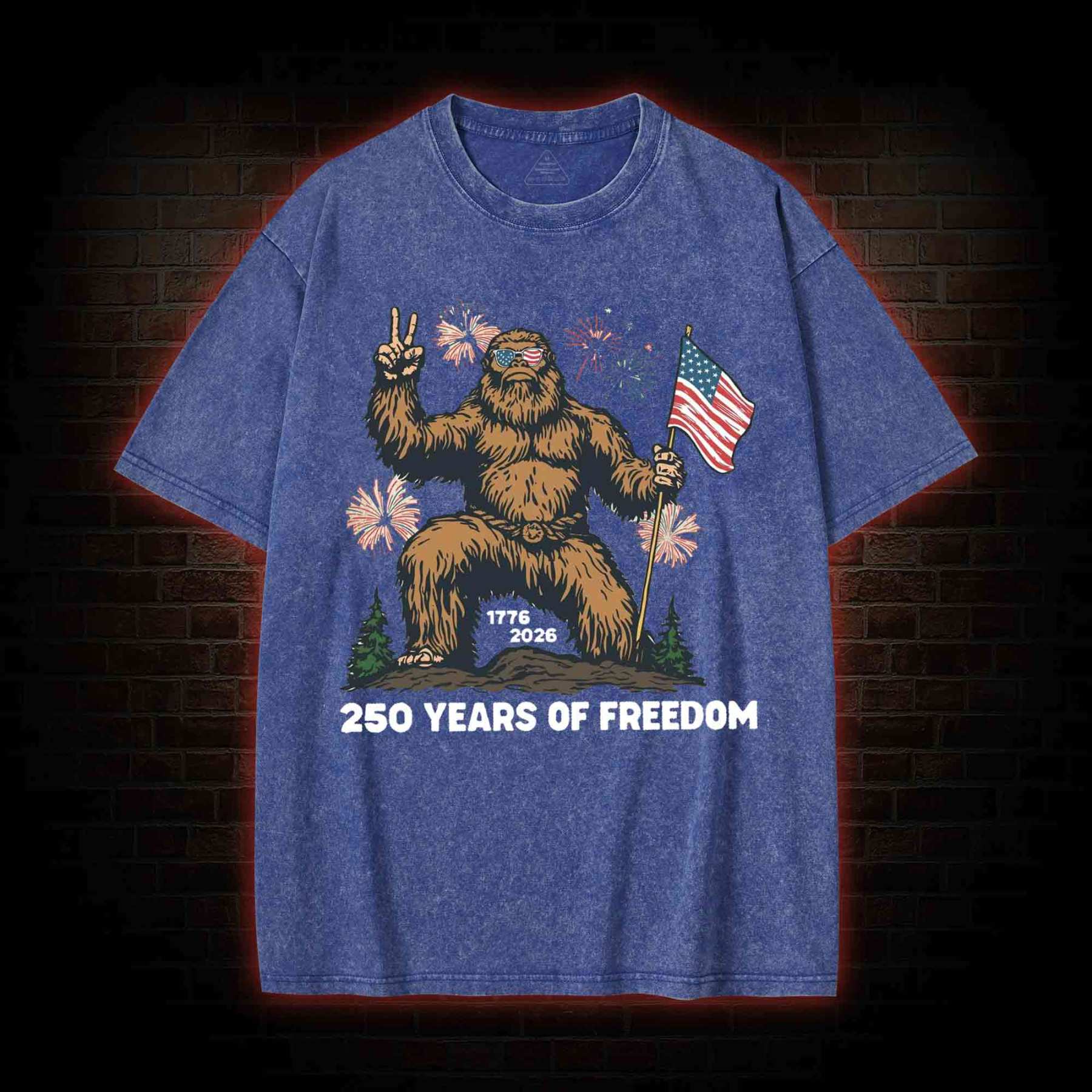 250 Years of Freedom Washed T-shirt