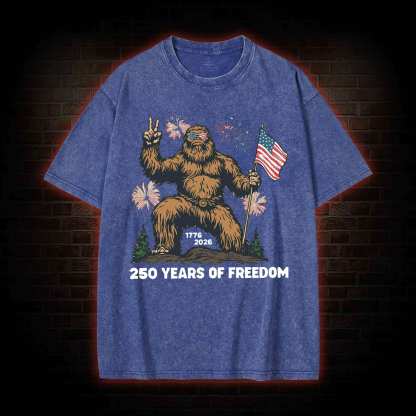250 Years of Freedom Washed T-shirt