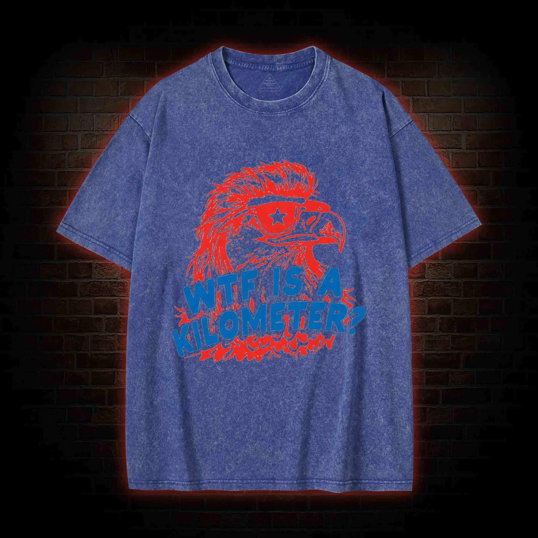 WTF is A Kilometer Washed T-shirt