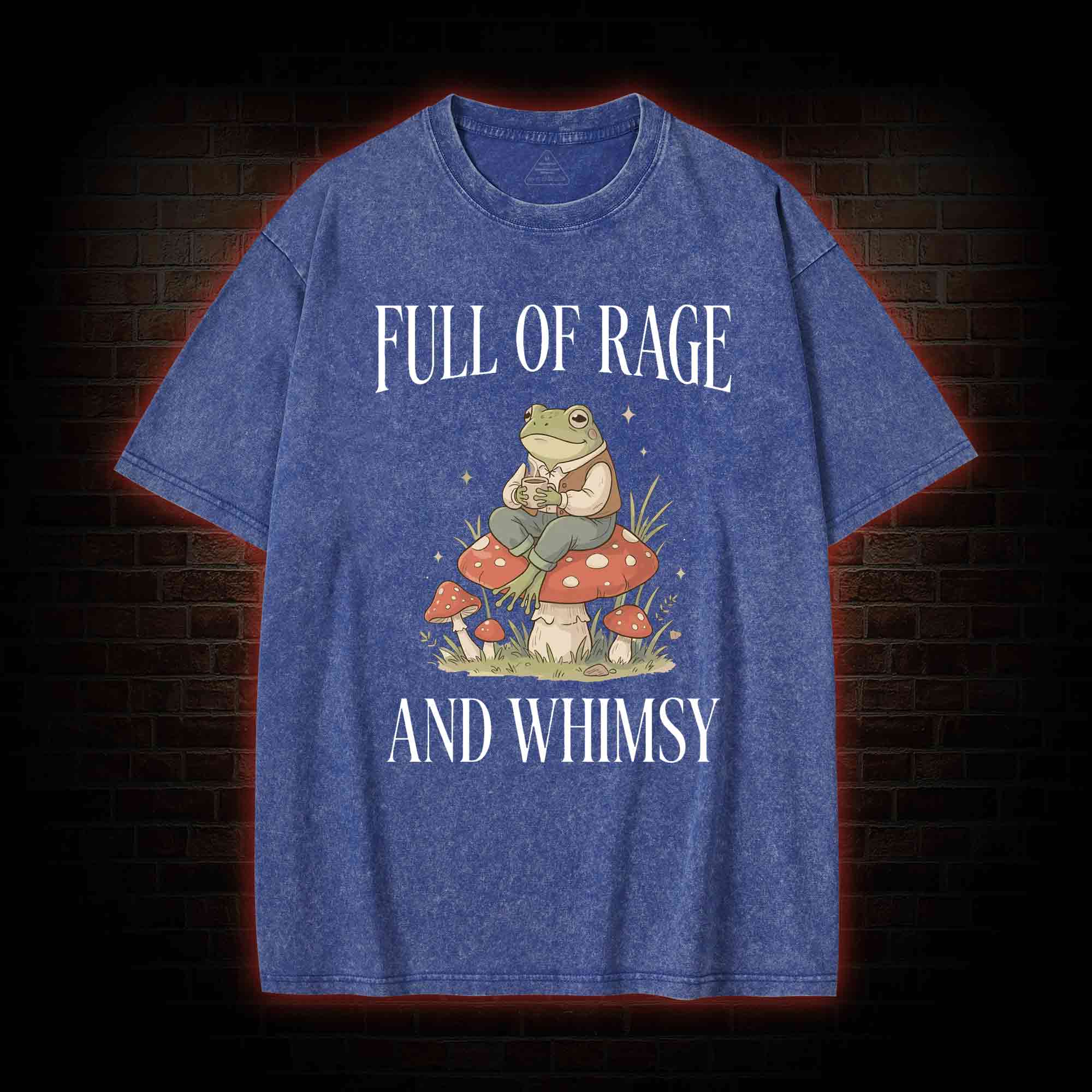 Full of Rage and Whimsy Washed T-shirt