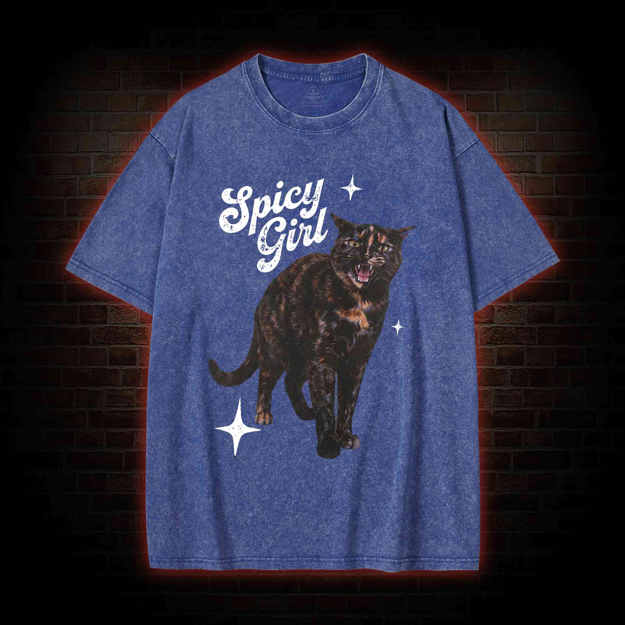 Spicy Girl Washed T-shirt