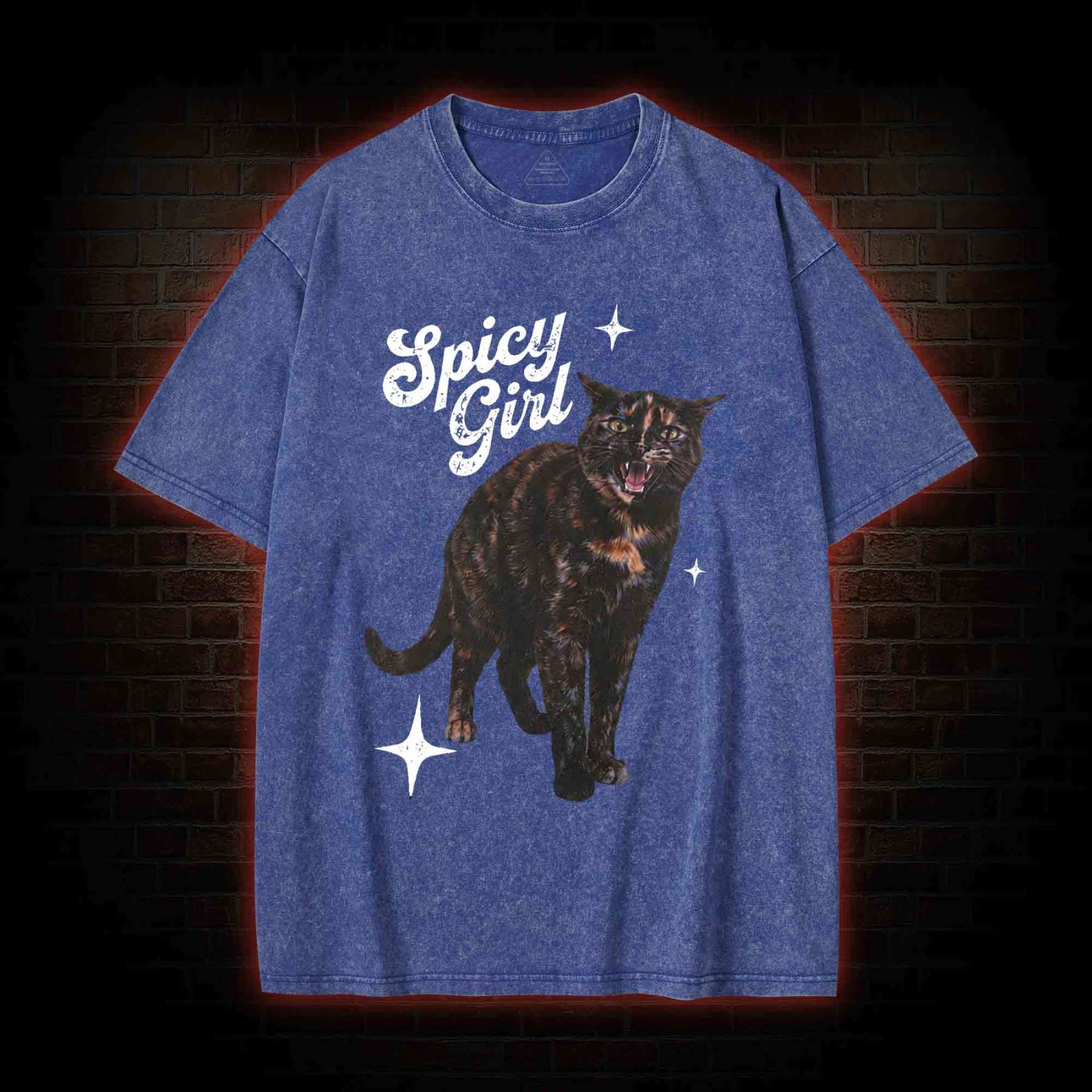 Spicy Girl Washed T-shirt