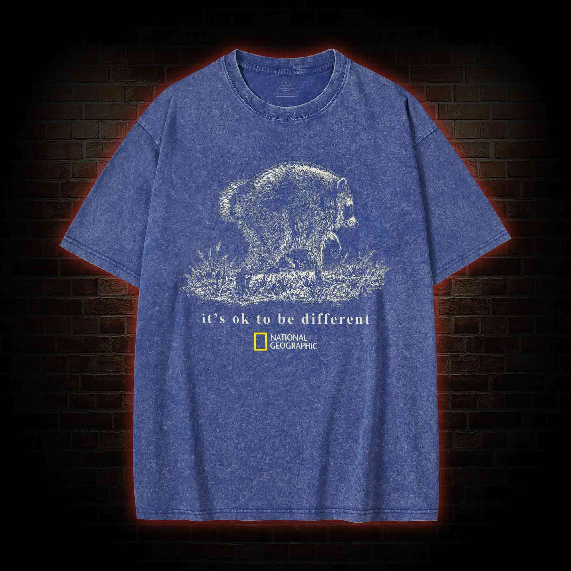 It's Ok to be Different Jimothy Washed T-shirt