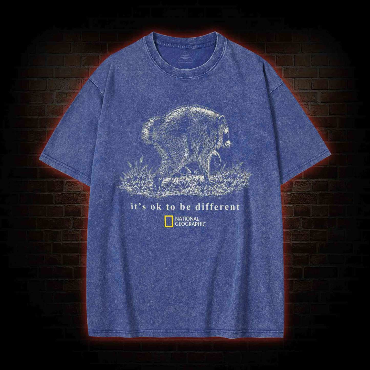 It's Ok to be Different Jimothy Washed T-shirt