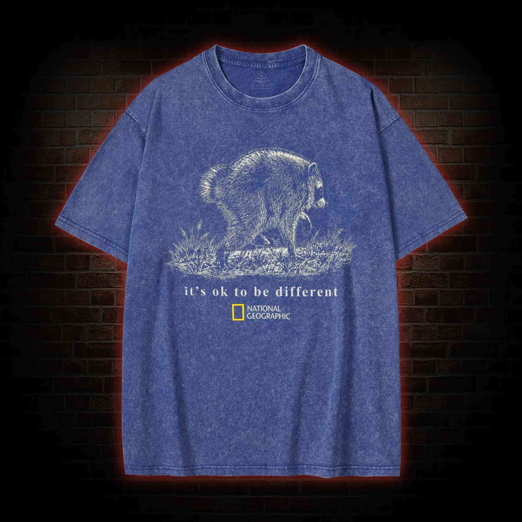 It's Ok to be Different Jimothy Washed T-shirt