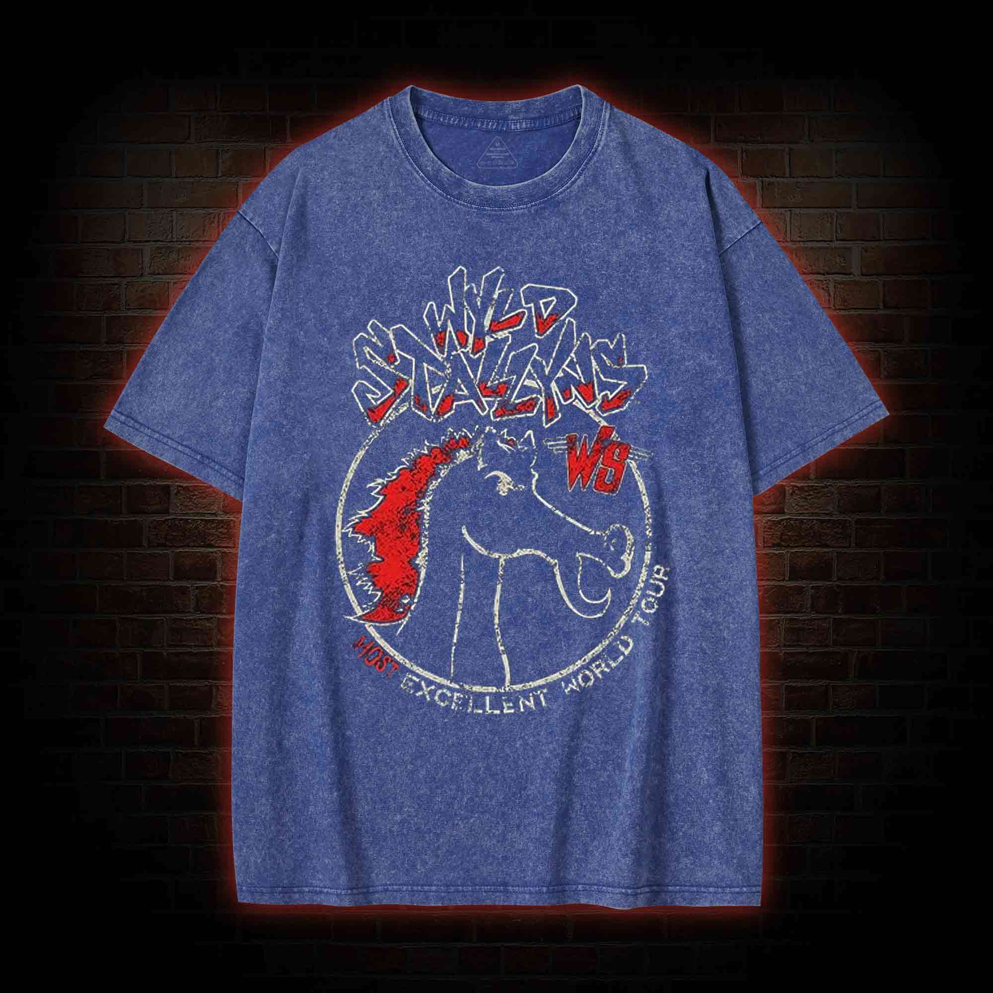 Wild Stallyns will Save the World Washed T-shirt