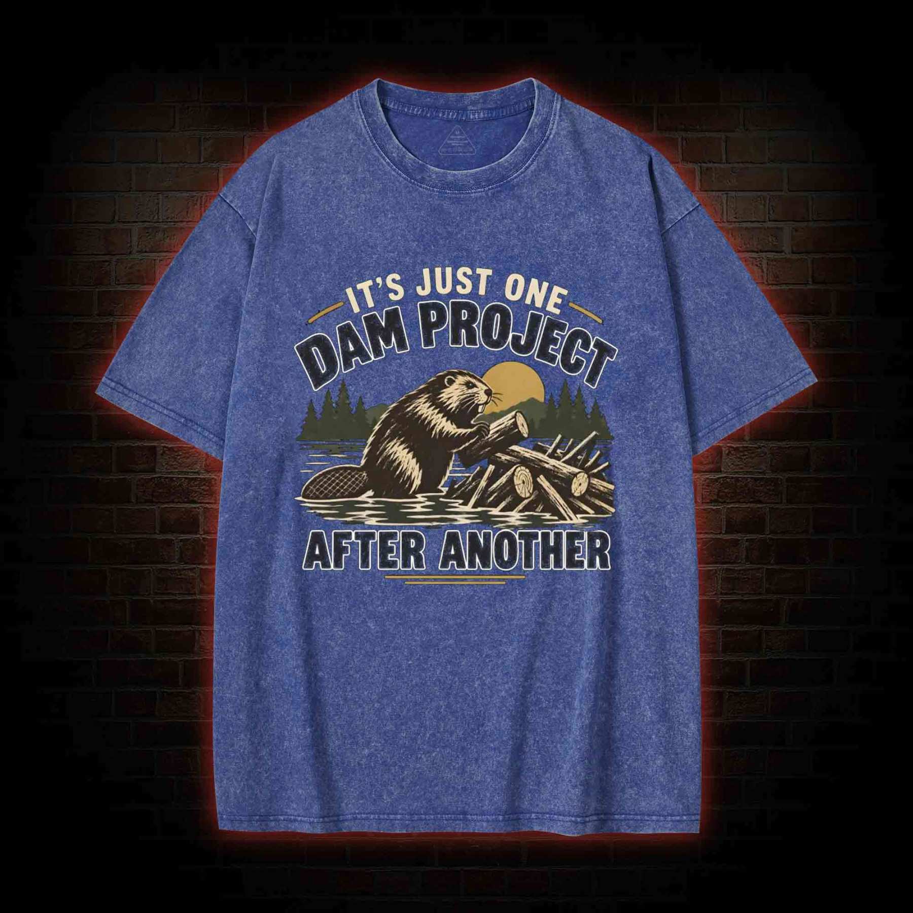 One Dam Project After Another Washed T-shirt